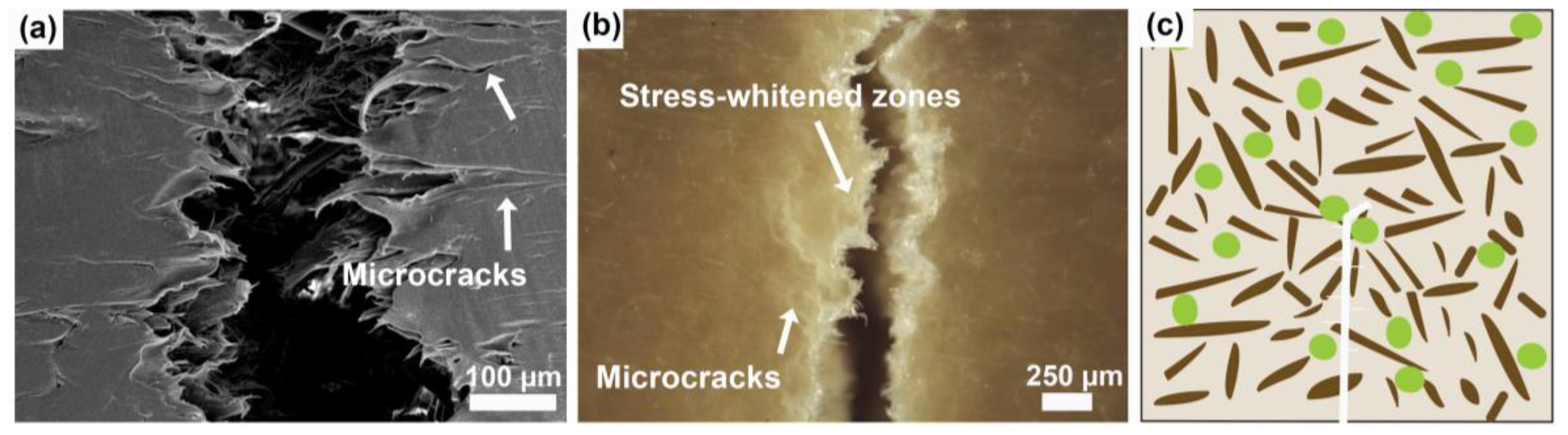 Polymers 16 02549 g011