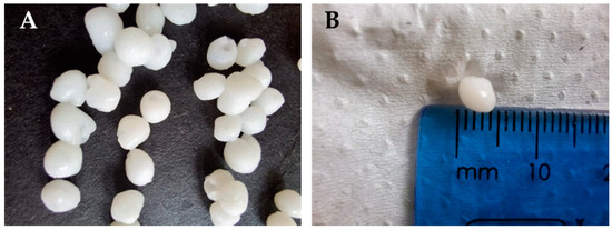 Pvpp String Synthesis and Dye Adsorption Dynamics of Chitosan ...