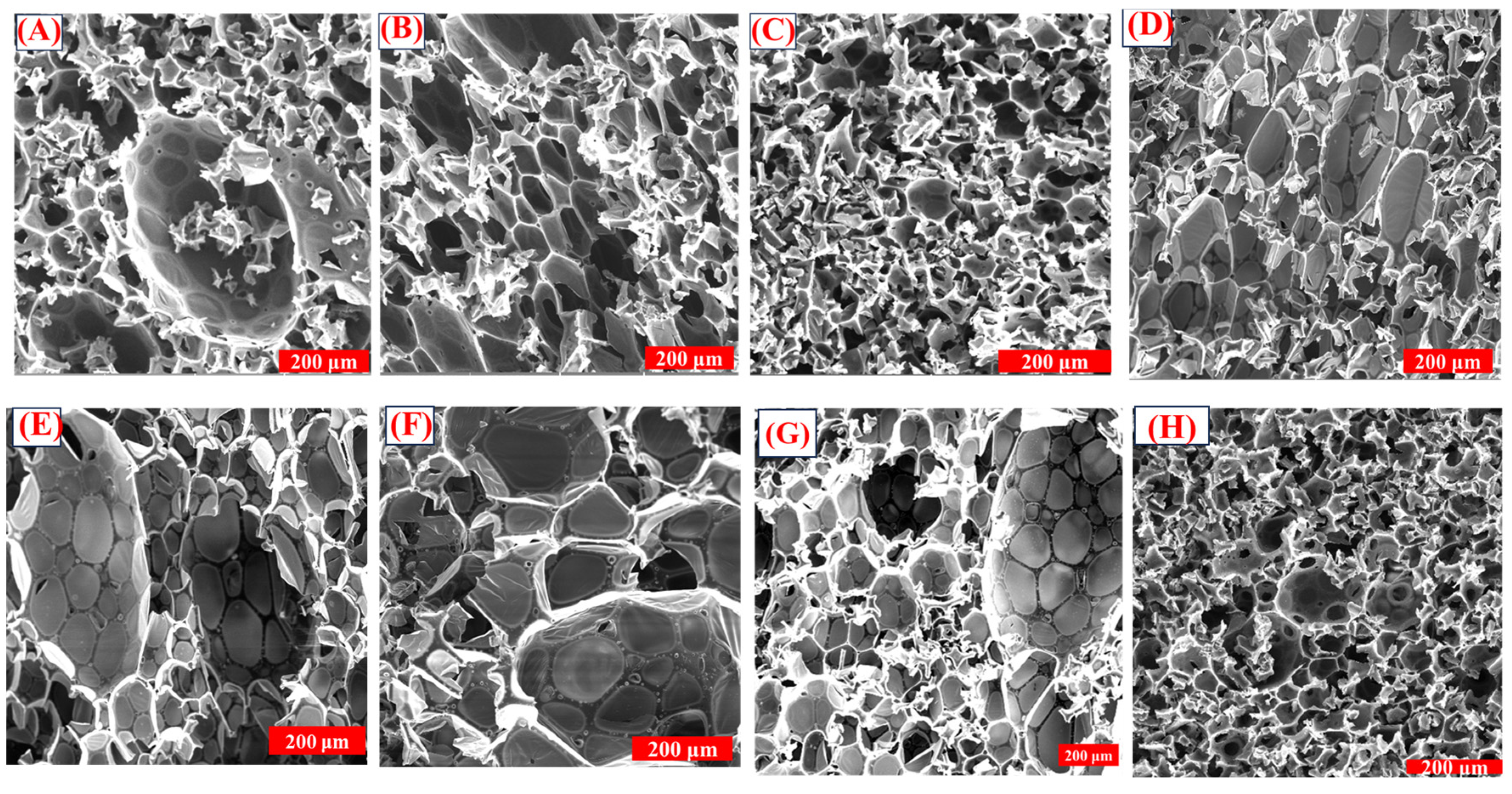 Polymers 16 02558 g006