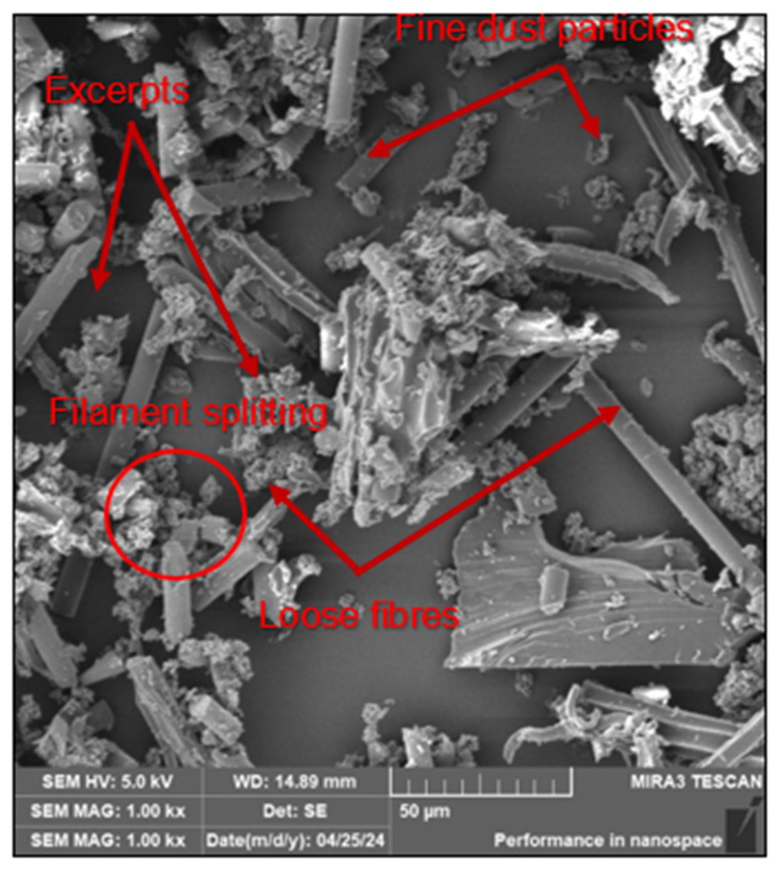 Polymers 16 02559 g005