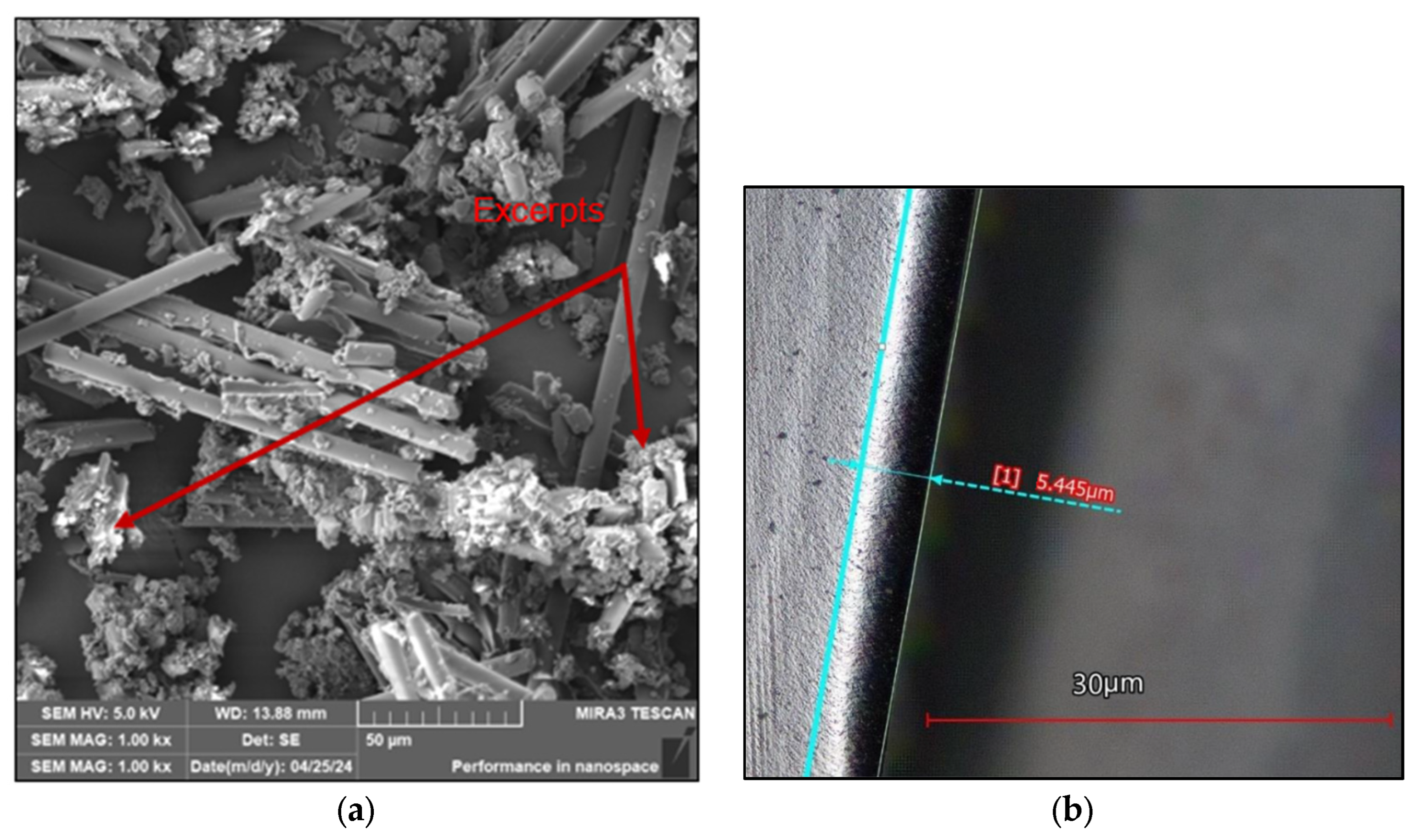 Polymers 16 02559 g010