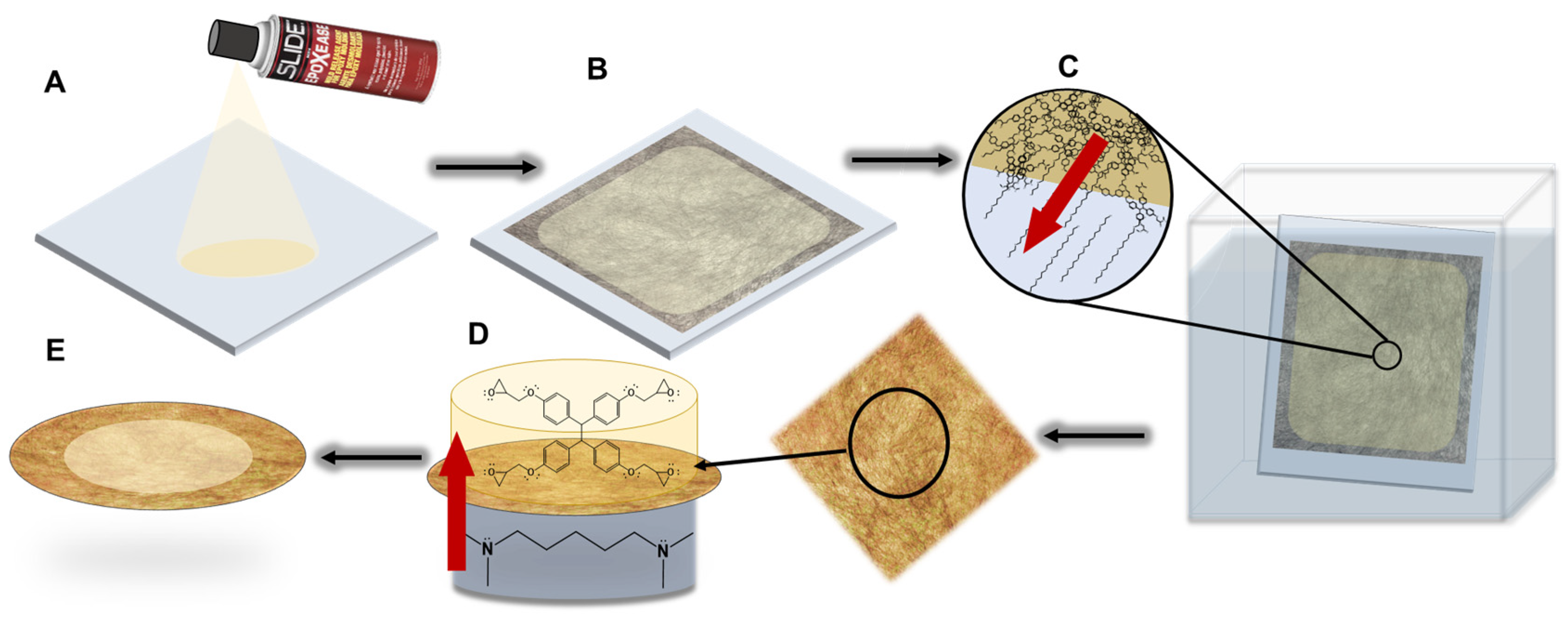 Polymers 16 02569 g002