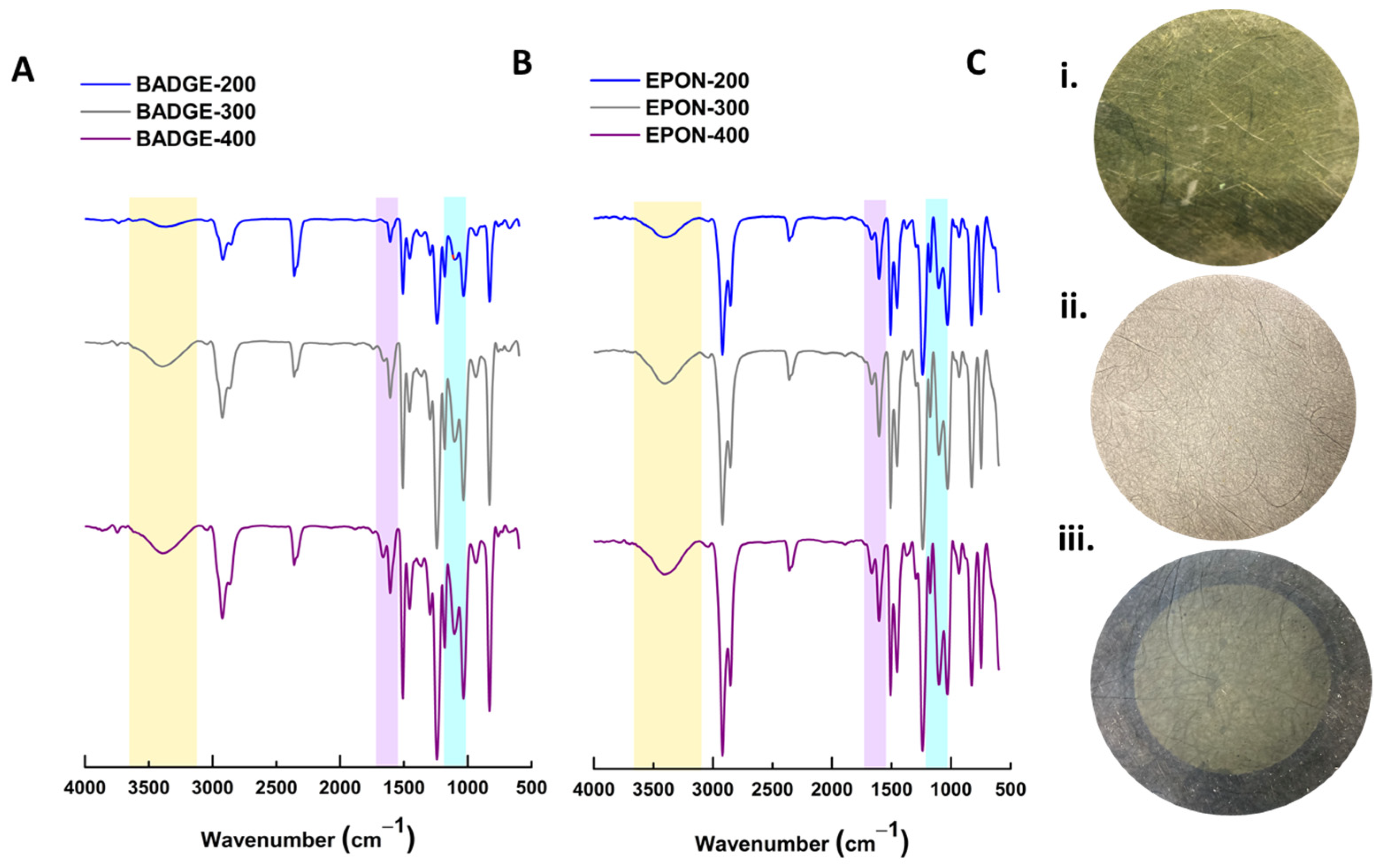 Polymers 16 02569 g003