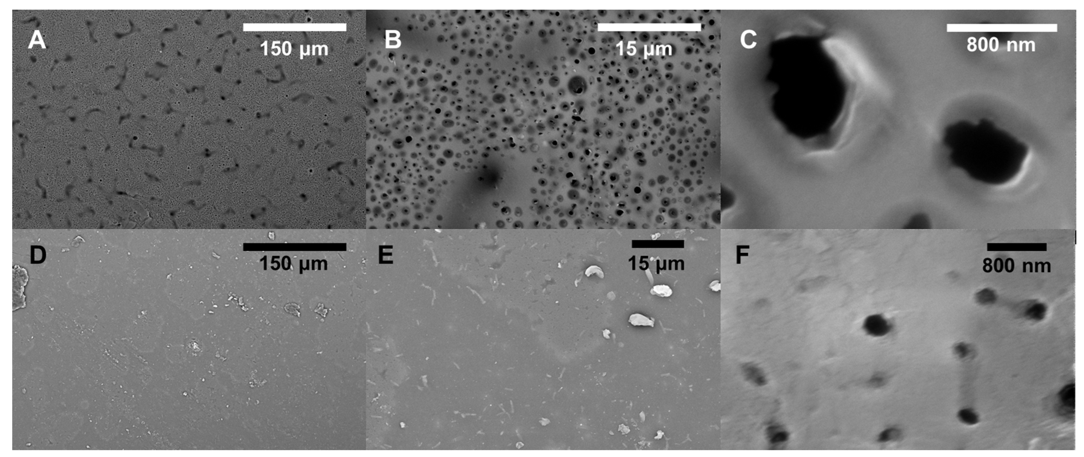 Polymers 16 02569 g004
