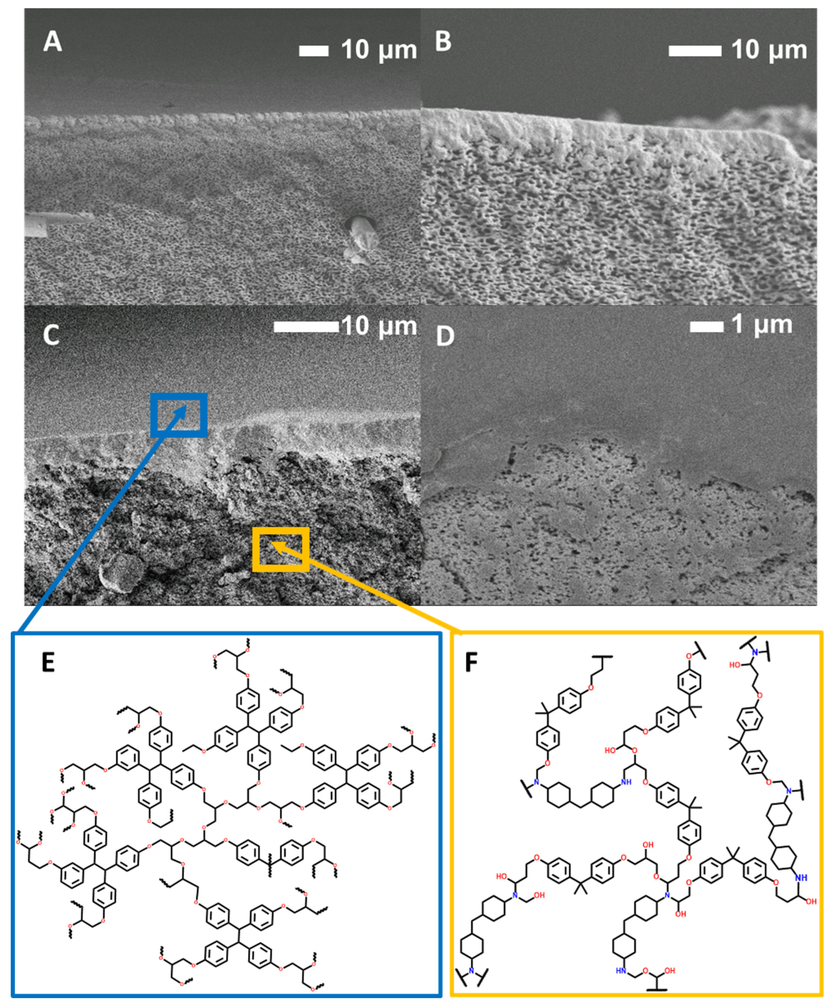 Polymers 16 02569 g005
