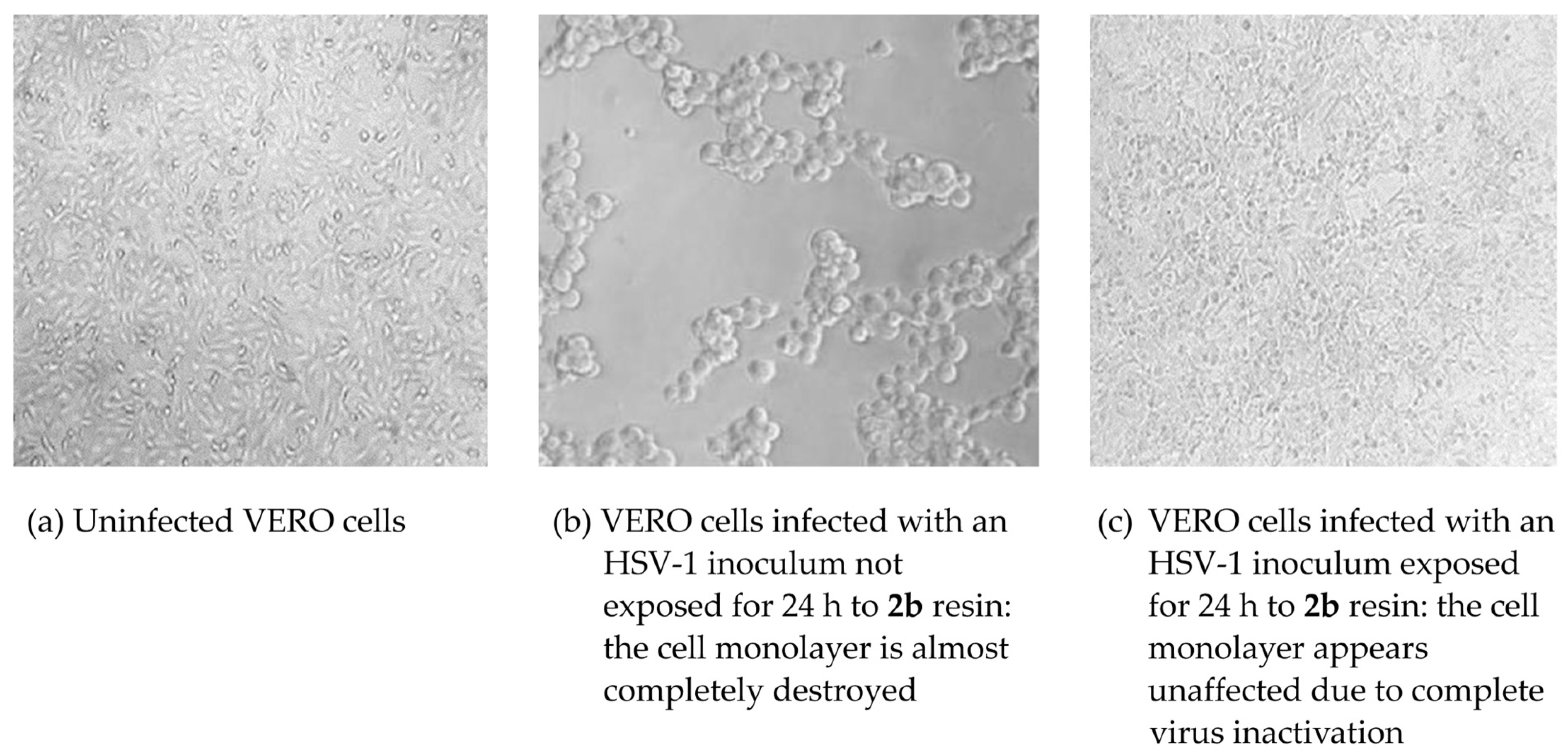 Polymers 16 02571 g012