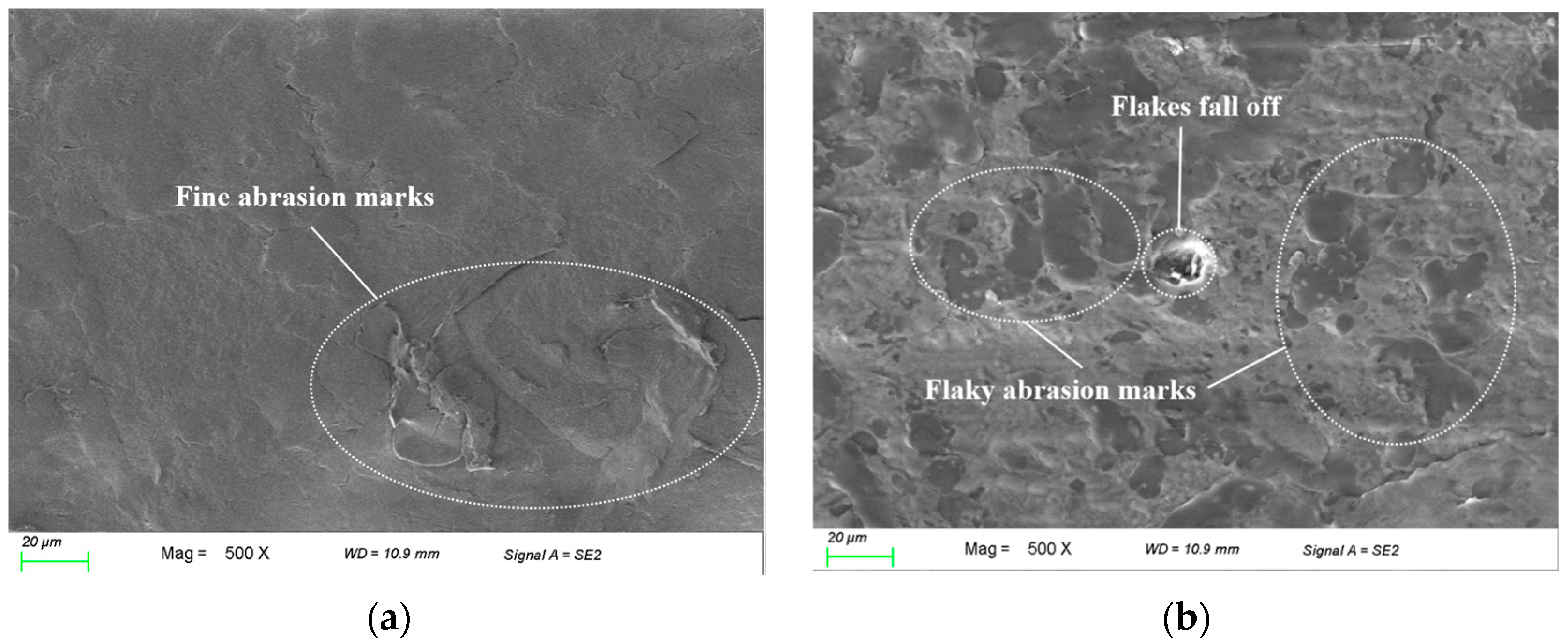 Polymers 16 02572 g011