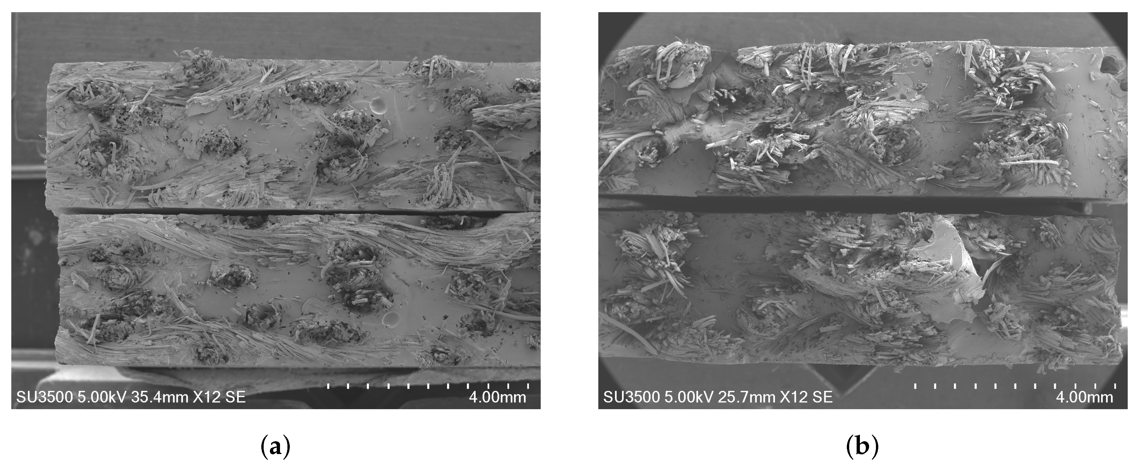 Polymers 16 02573 g005