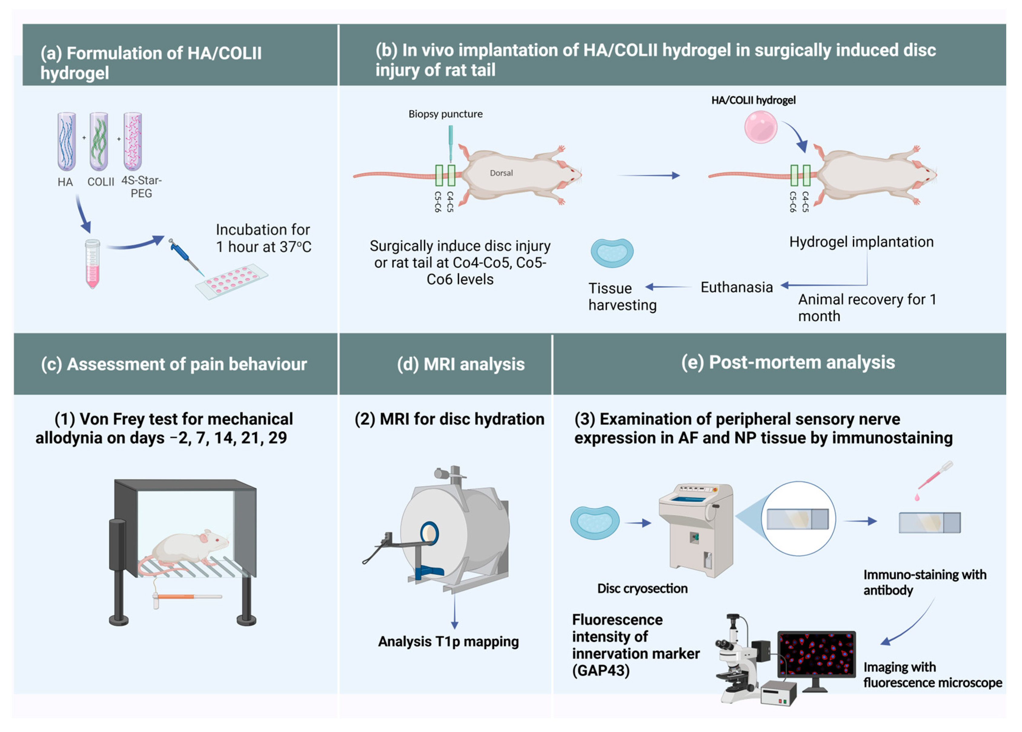 Polymers 16 02574 g002