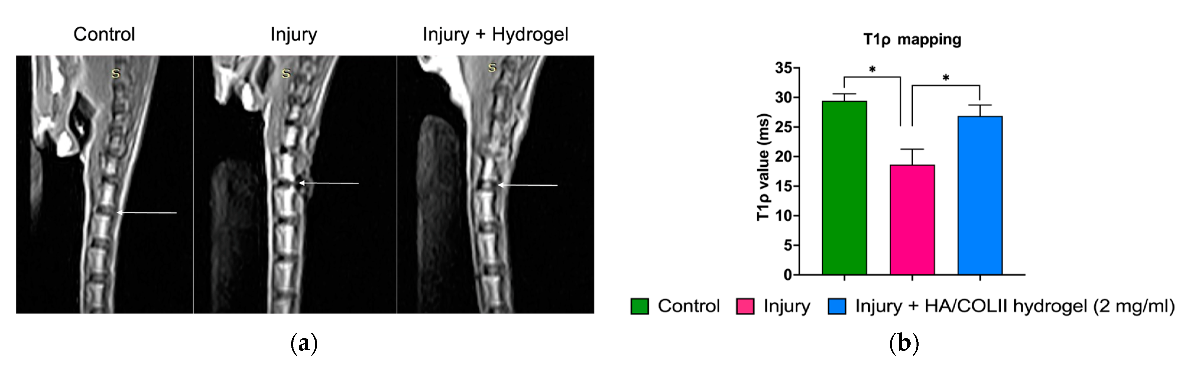 Polymers 16 02574 g005