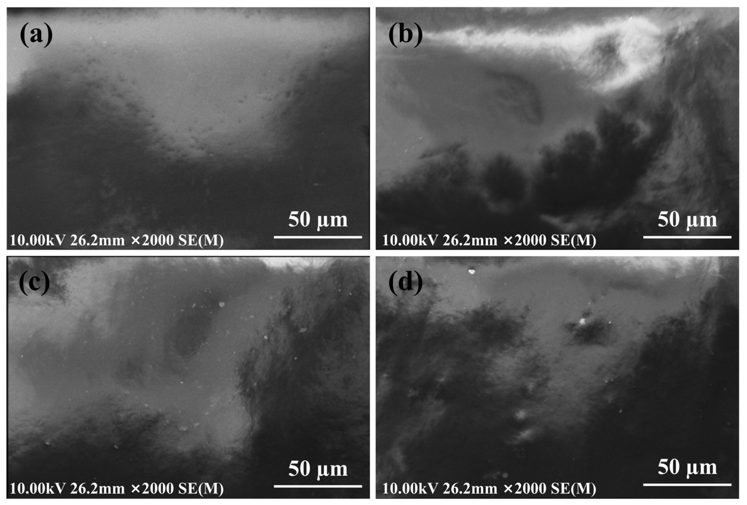 Polymers 16 02576 g006