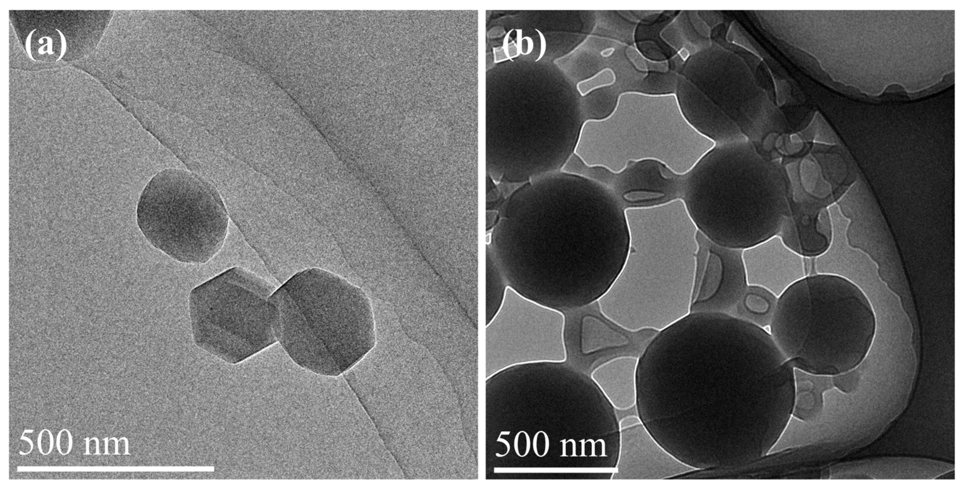 Polymers 16 02576 g008