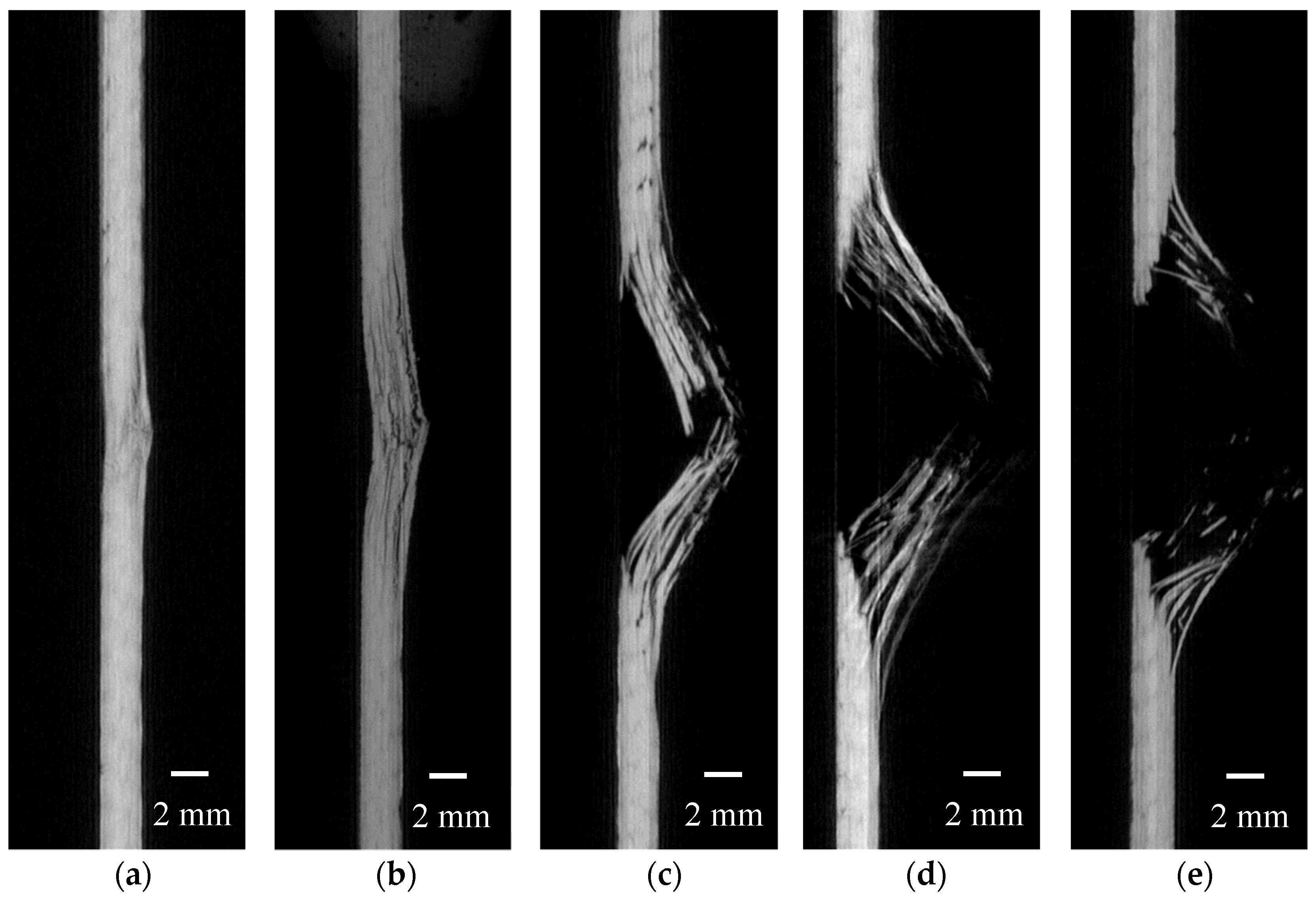 Polymers 16 02581 g007 Polymers 16 02581 g007