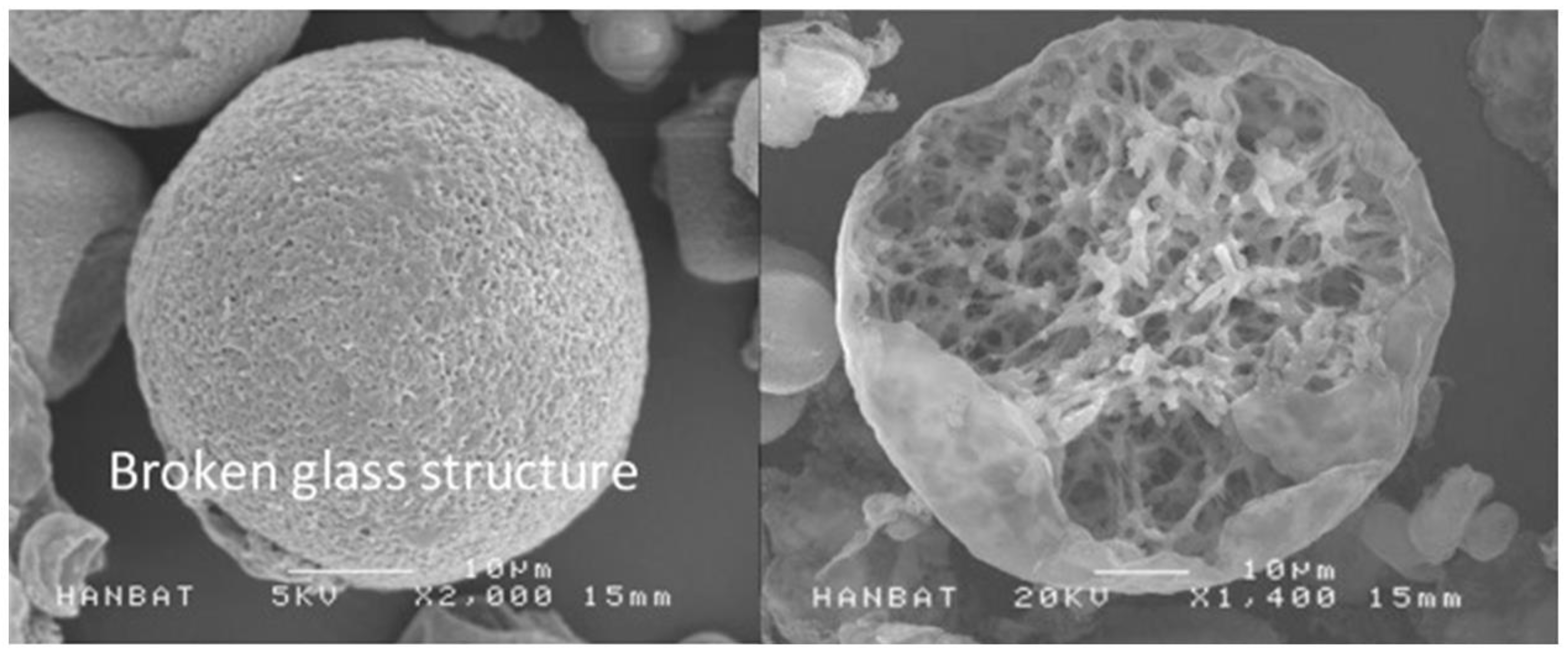 Polymers 16 02583 g002