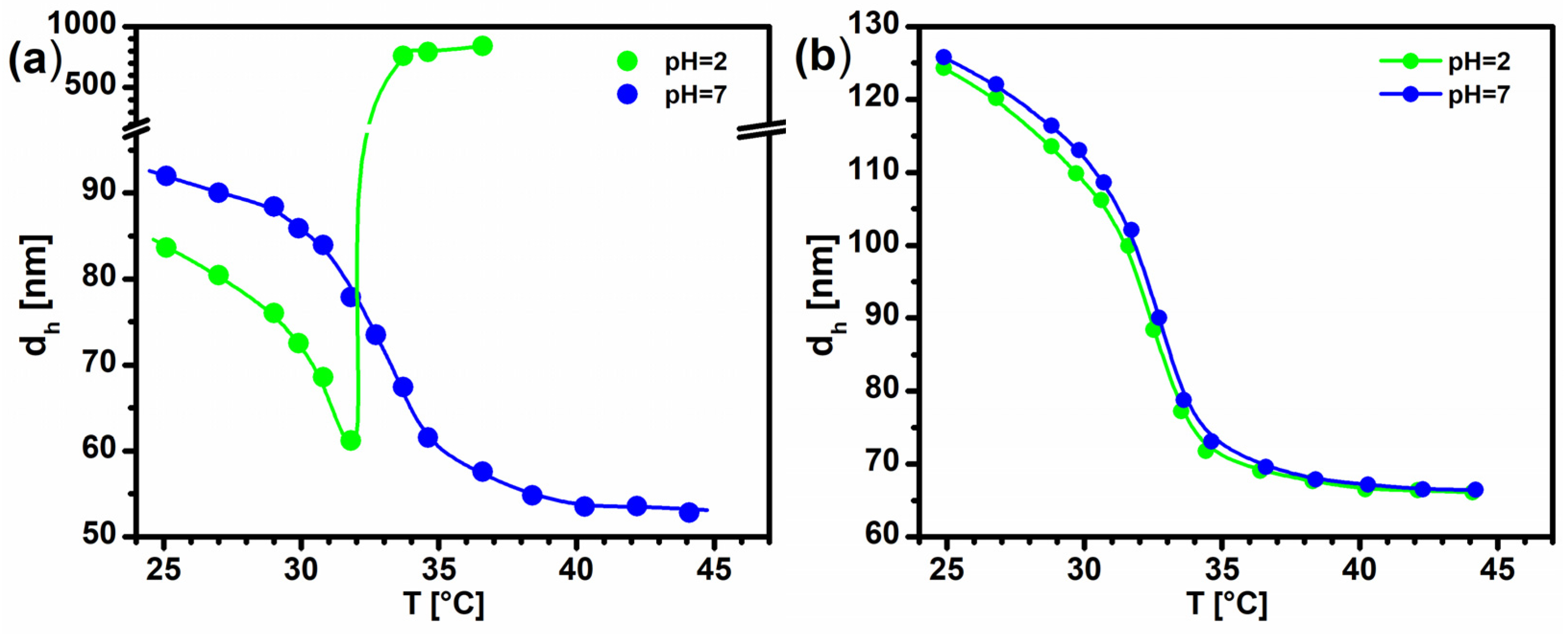 Polymers 16 02584 g001