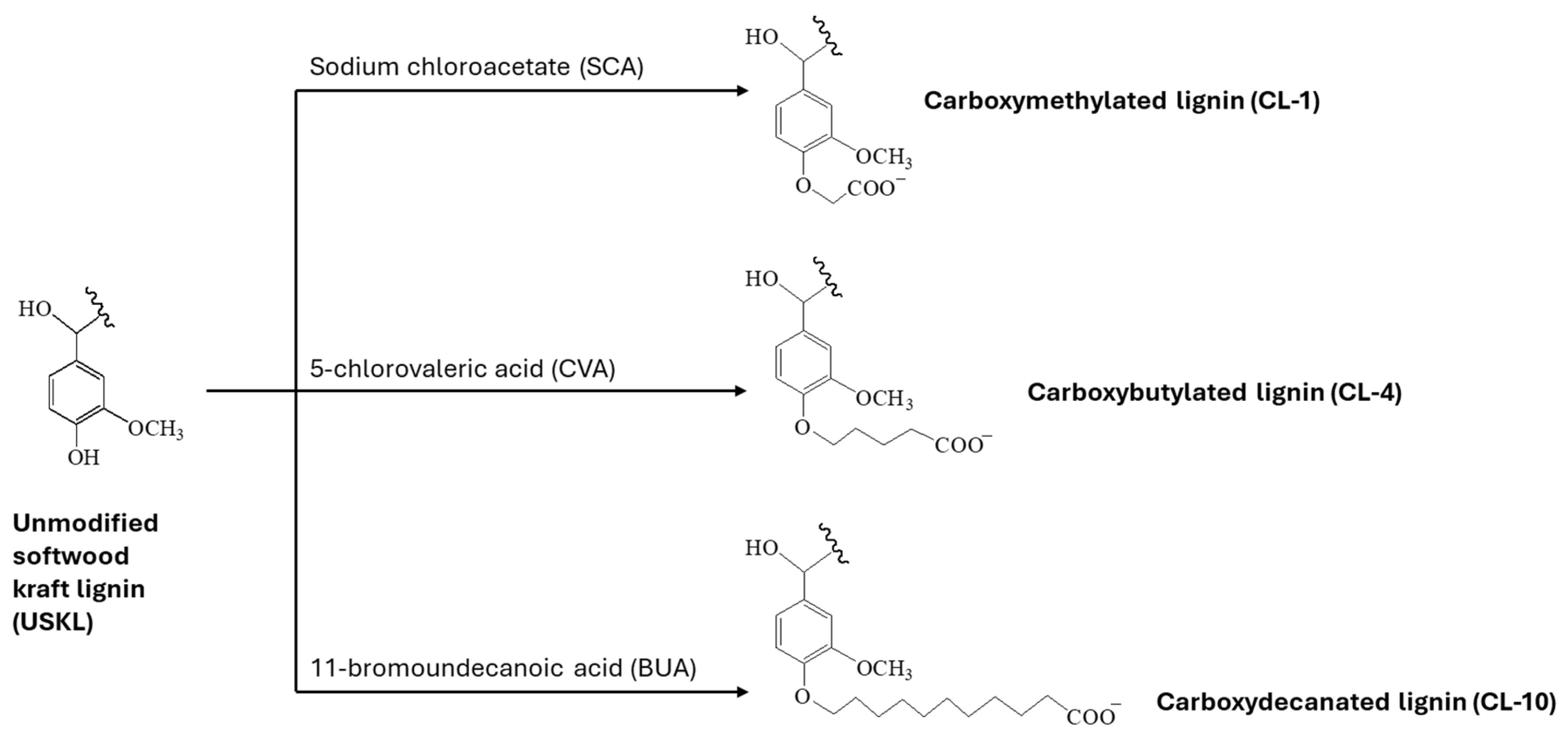 Polymers 16 02586 g001