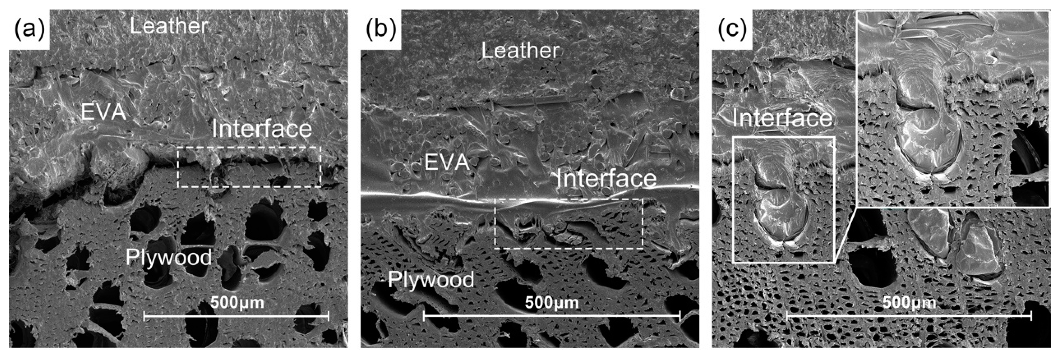 Polymers 16 02587 g005
