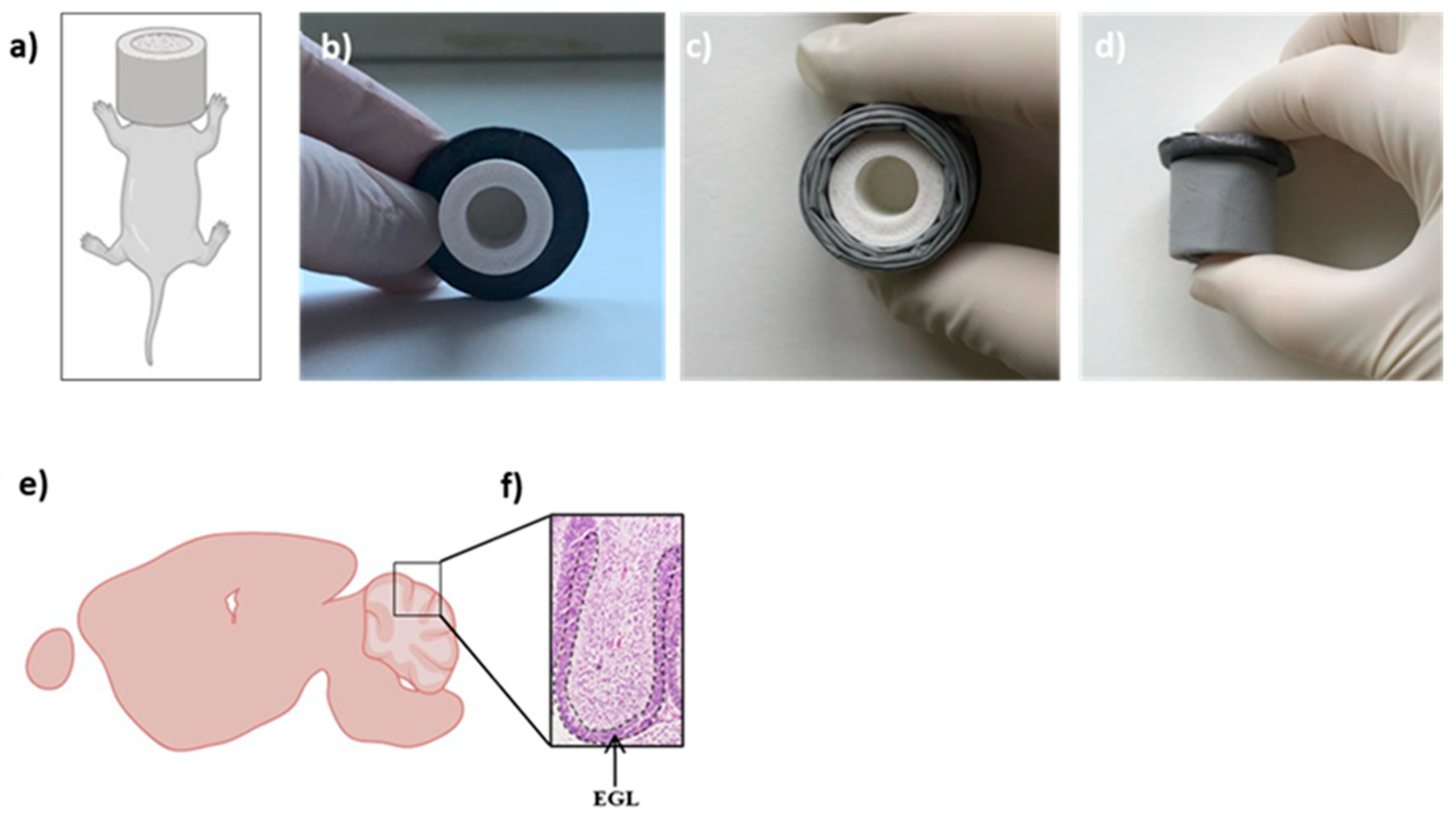 Polymers 16 02590 g001
