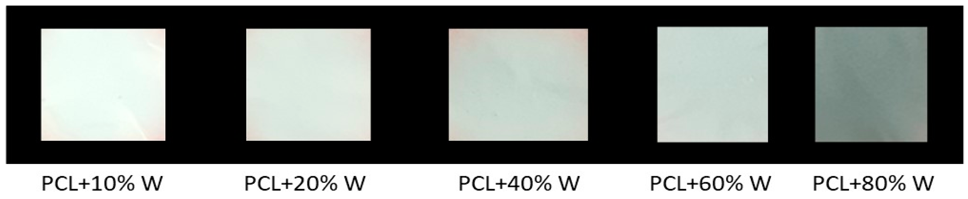 Polymers 16 02590 g004