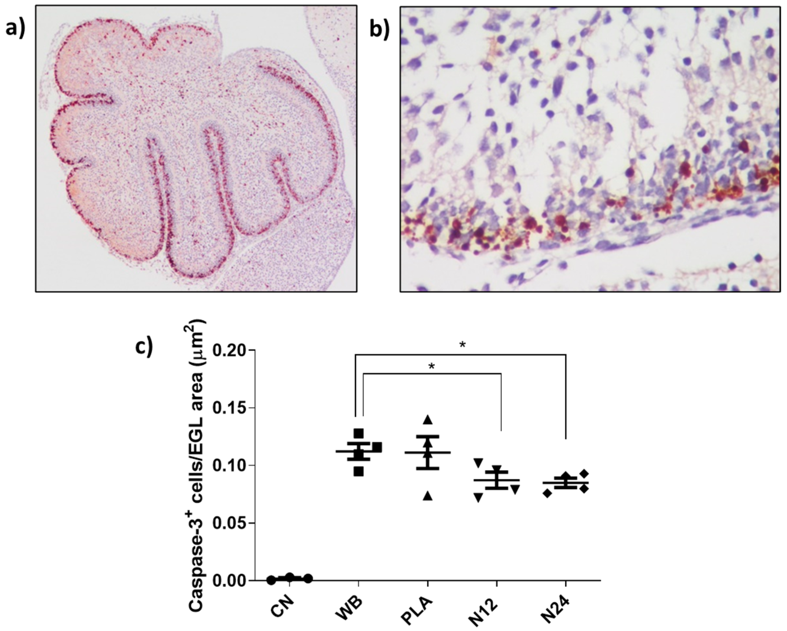 Polymers 16 02590 g008