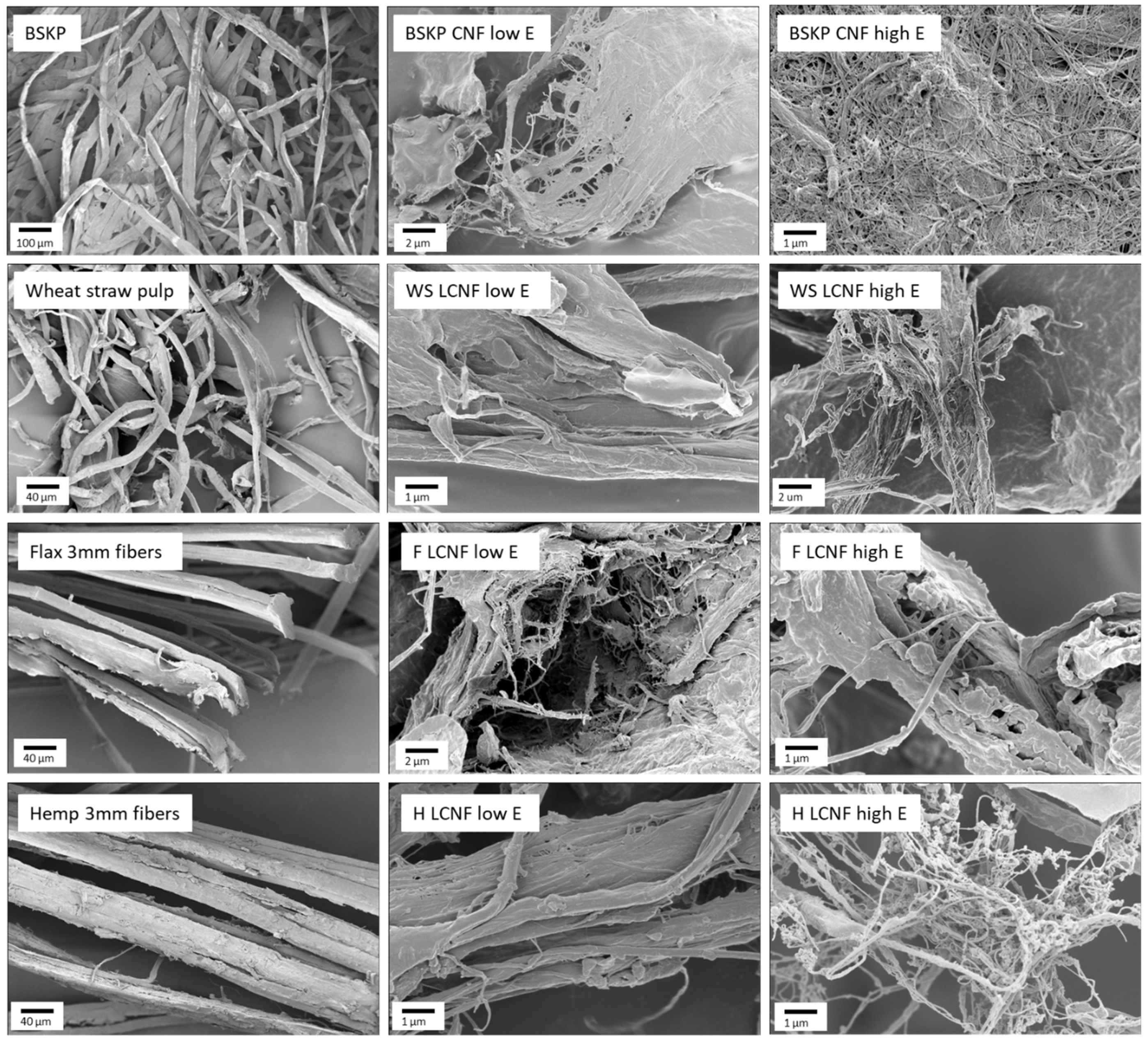 Polymers 16 02598 g001