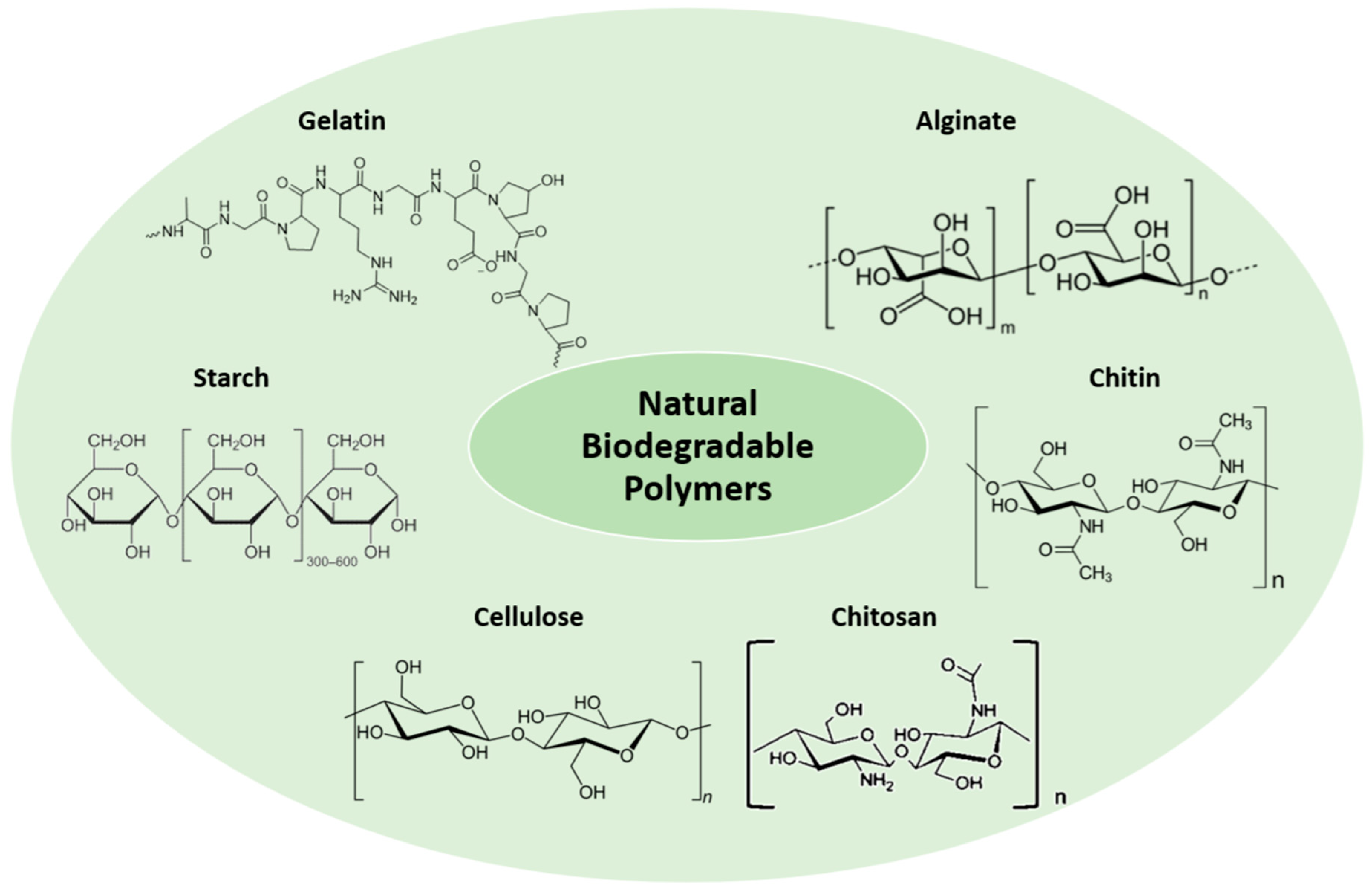 Polymers 16 02599 g004 Polymers 16 02599 g004