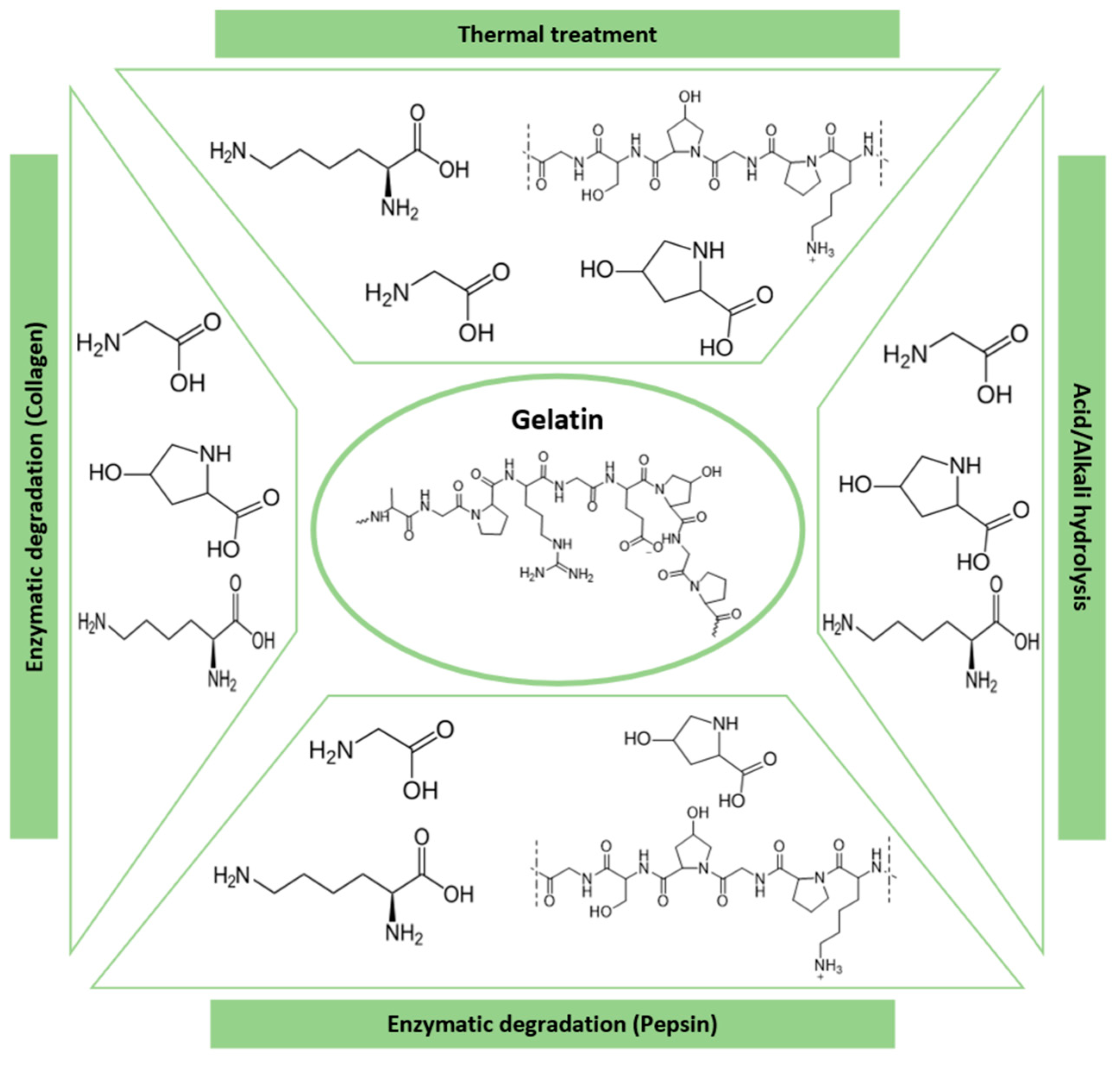 Polymers 16 02599 g009 Polymers 16 02599 g009