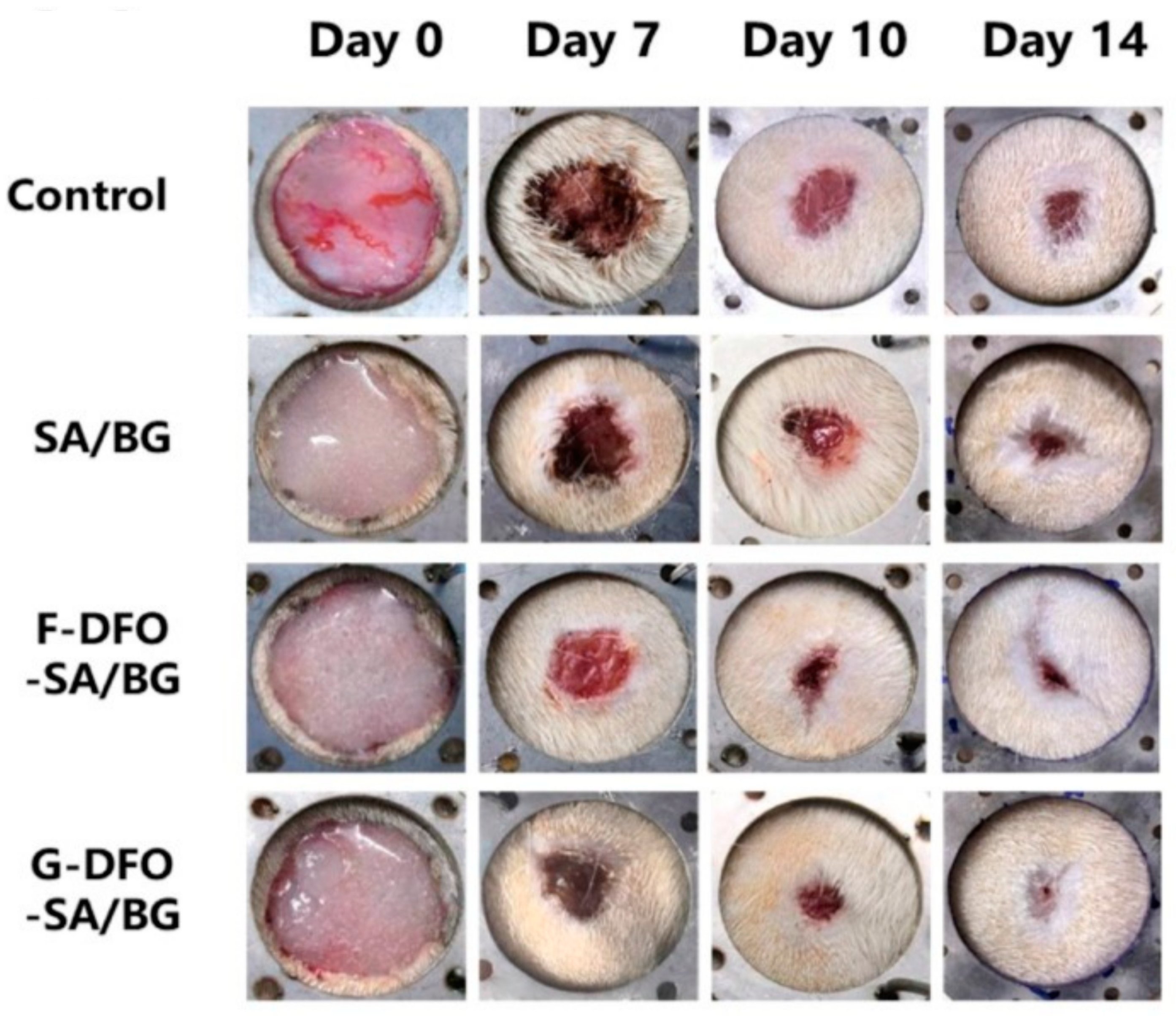 Polymers 16 02599 g011 Polymers 16 02599 g011