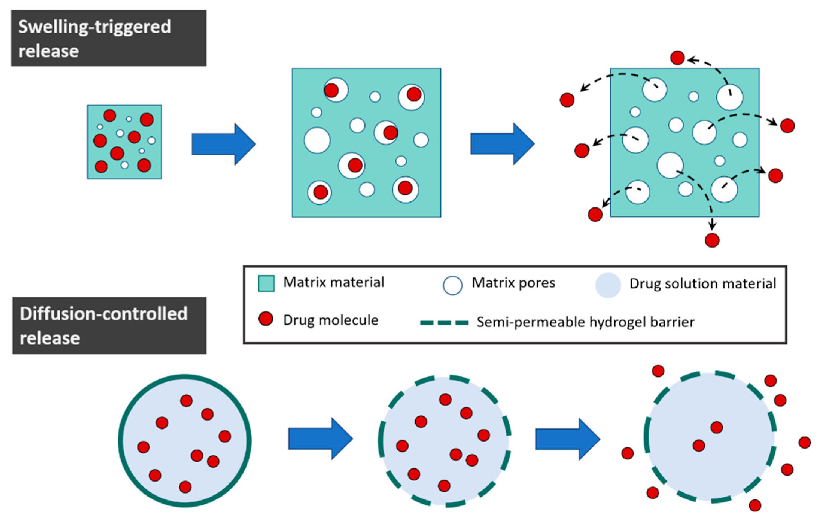 Polymers 16 02599 g013 Polymers 16 02599 g013