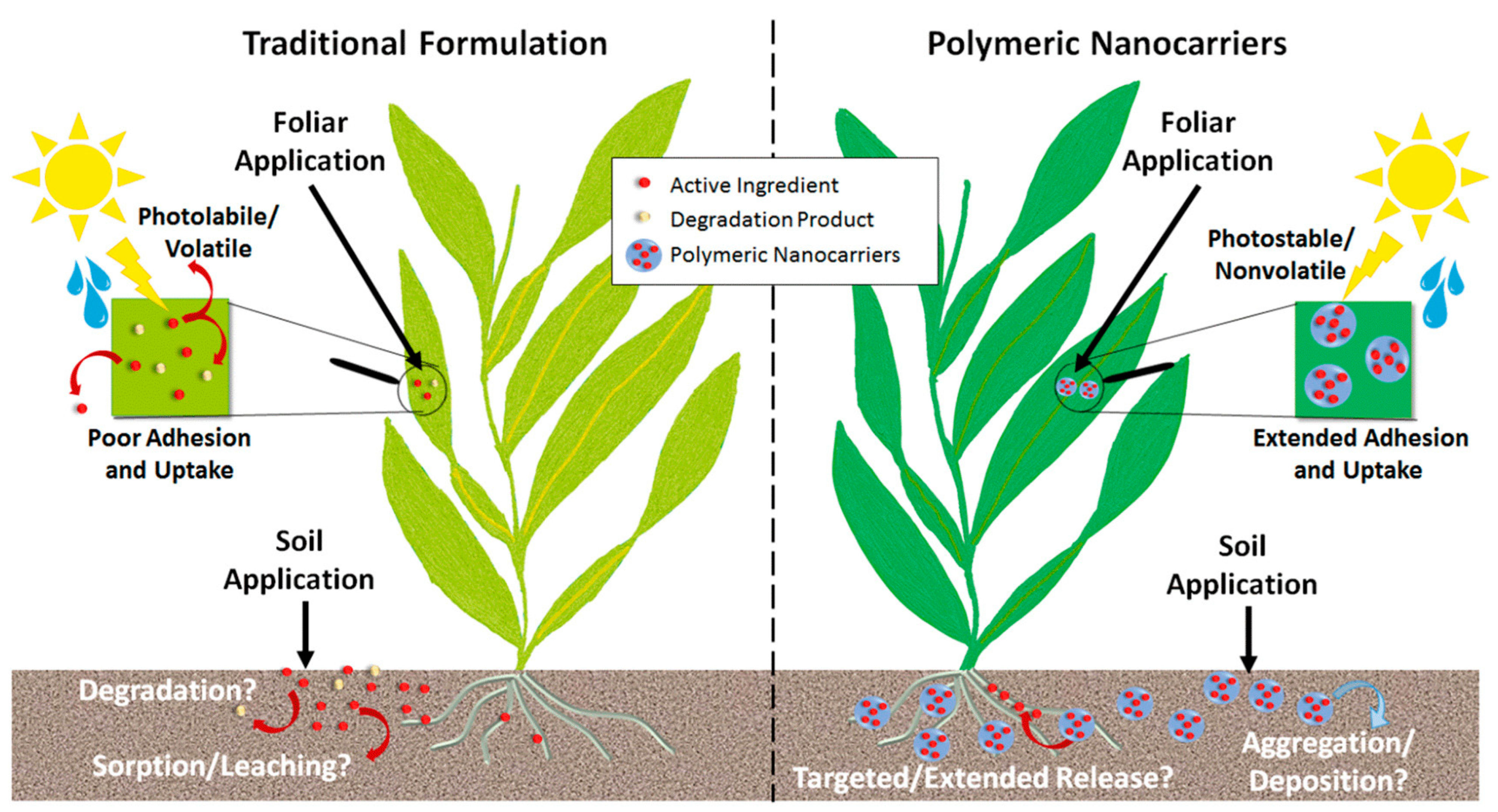Polymers 16 02599 g015 Polymers 16 02599 g015