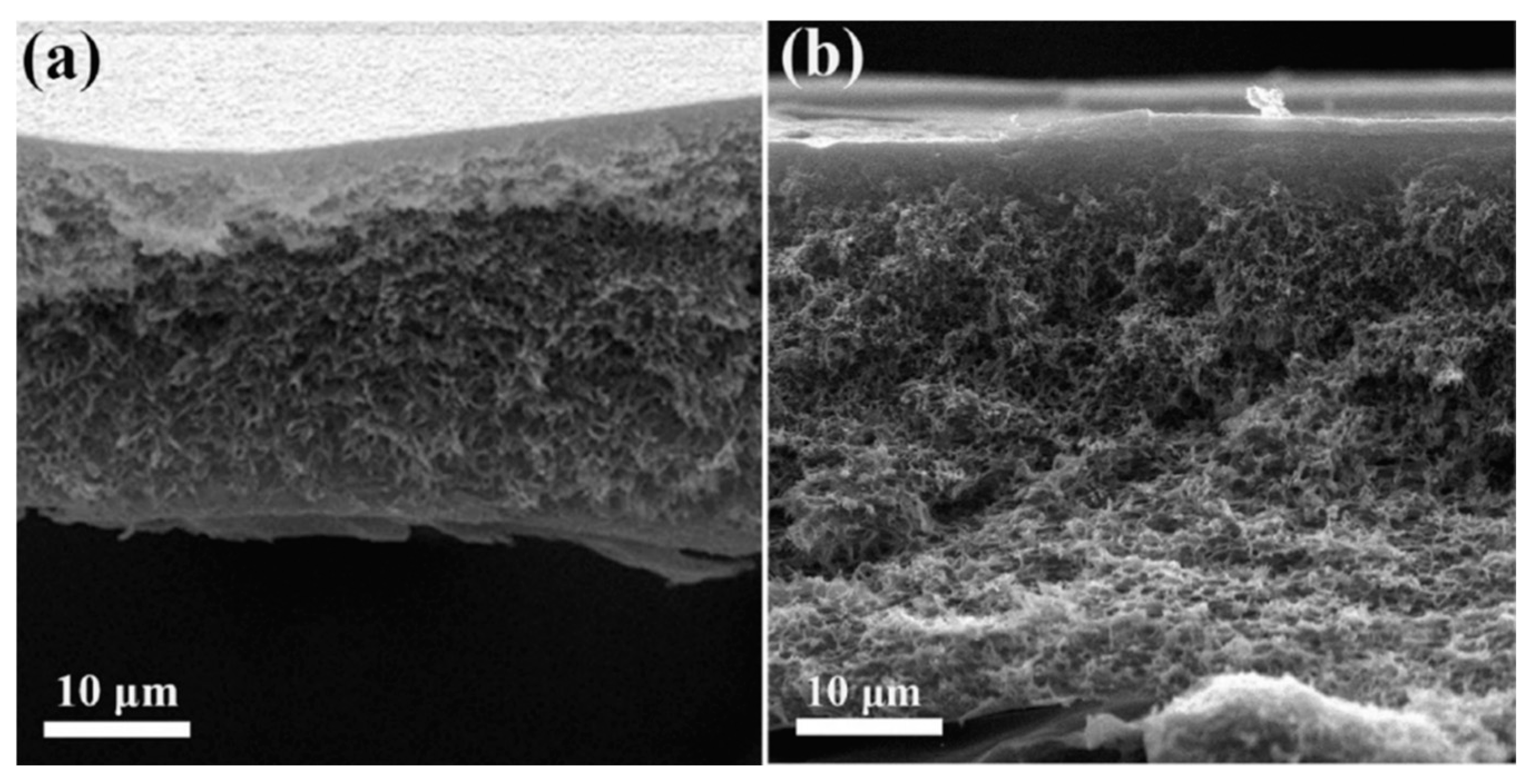 Polymers 16 02604 g002