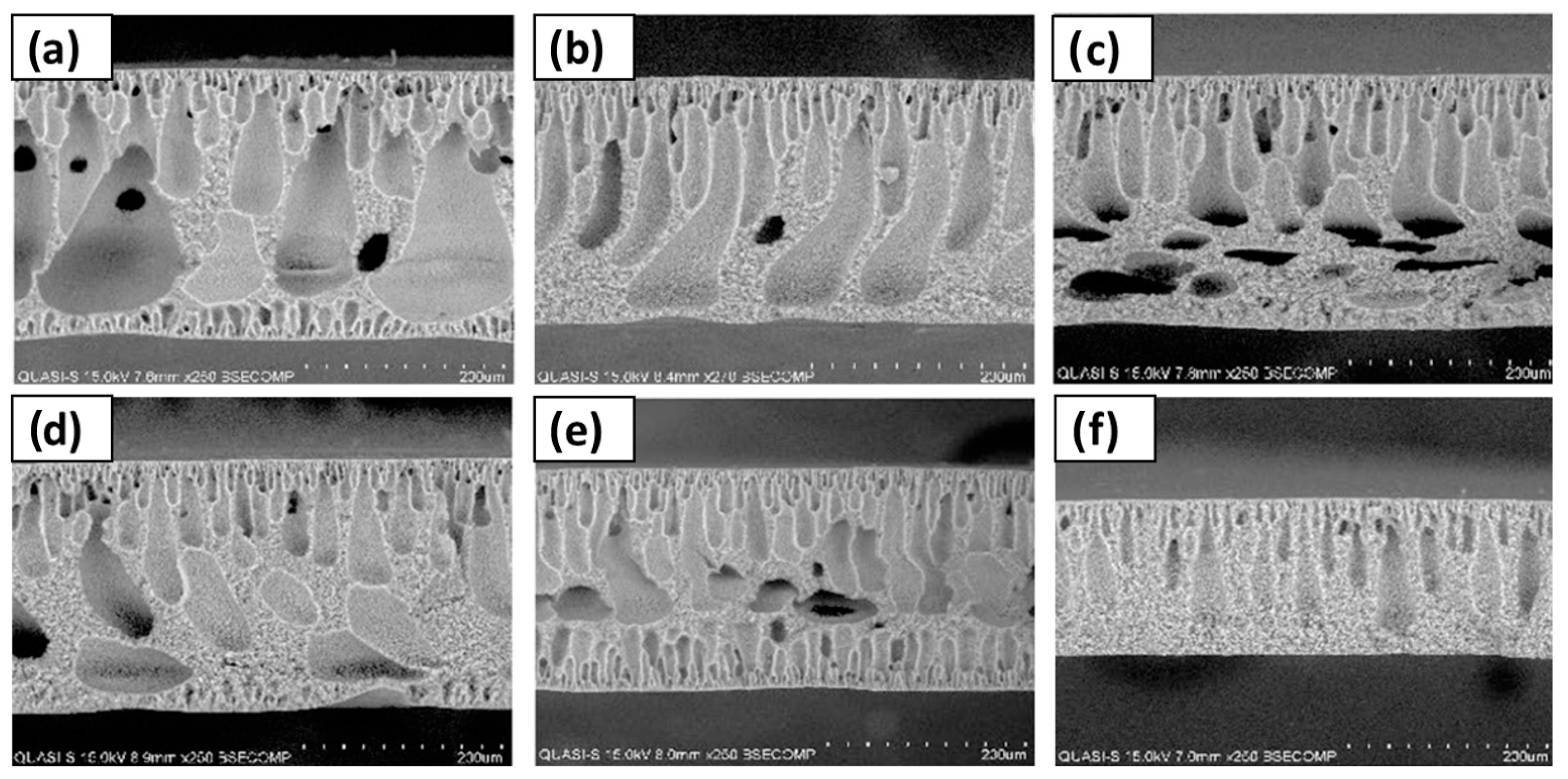 Polymers 16 02604 g004