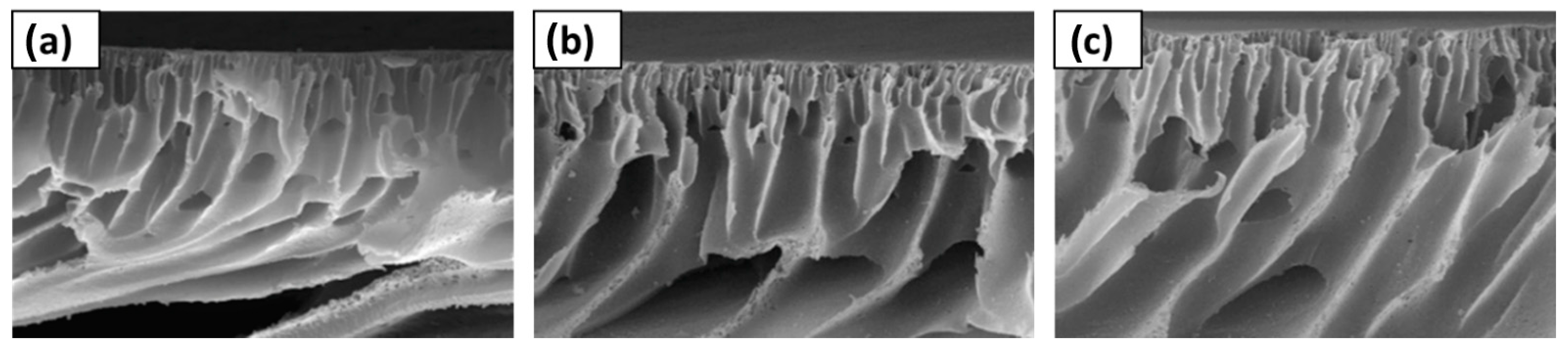 Polymers 16 02604 g005