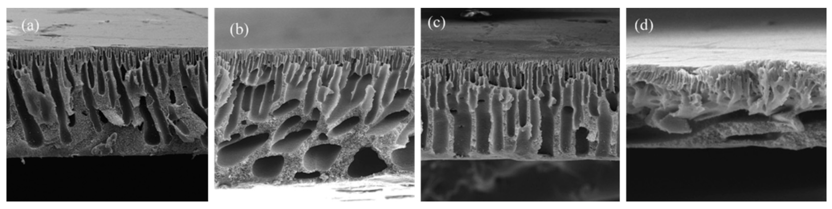Polymers 16 02604 g006