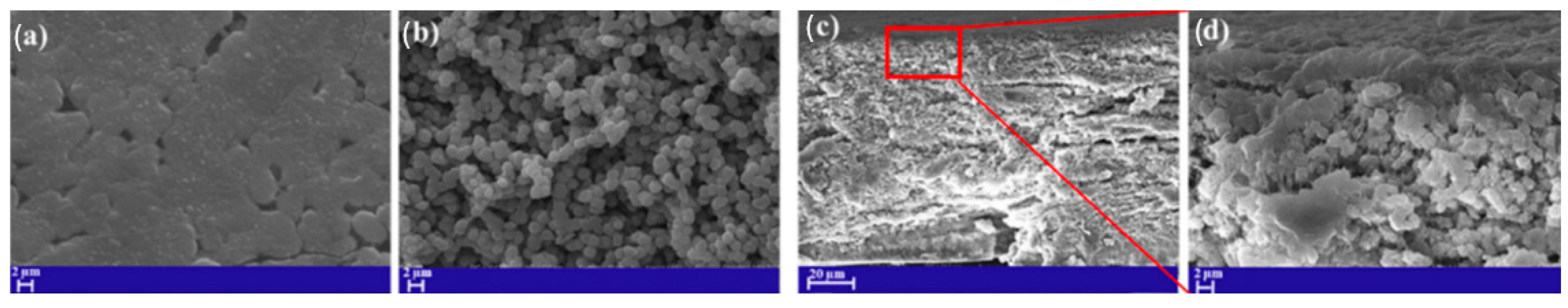 Polymers 16 02604 g007