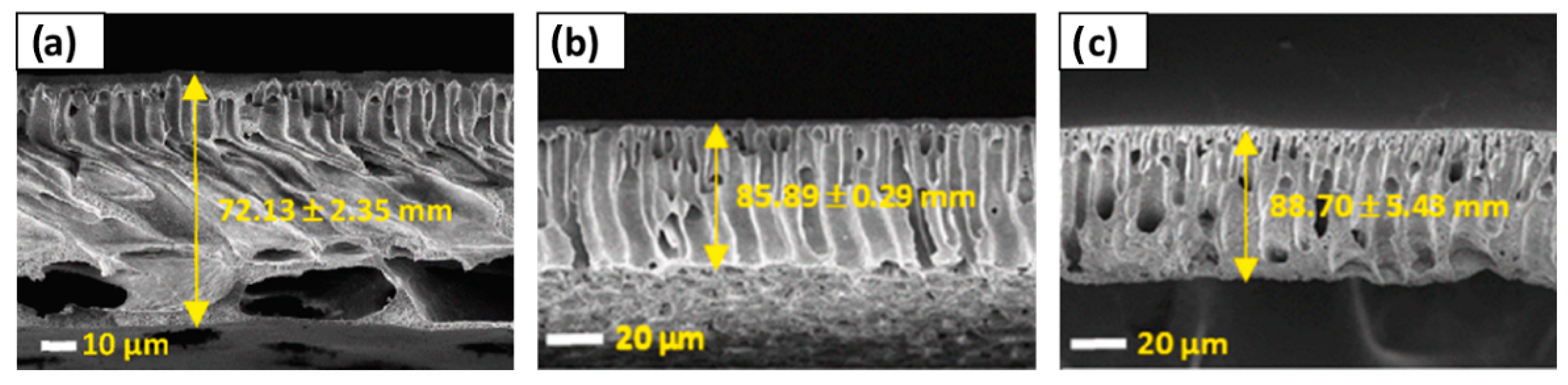 Polymers 16 02604 g009