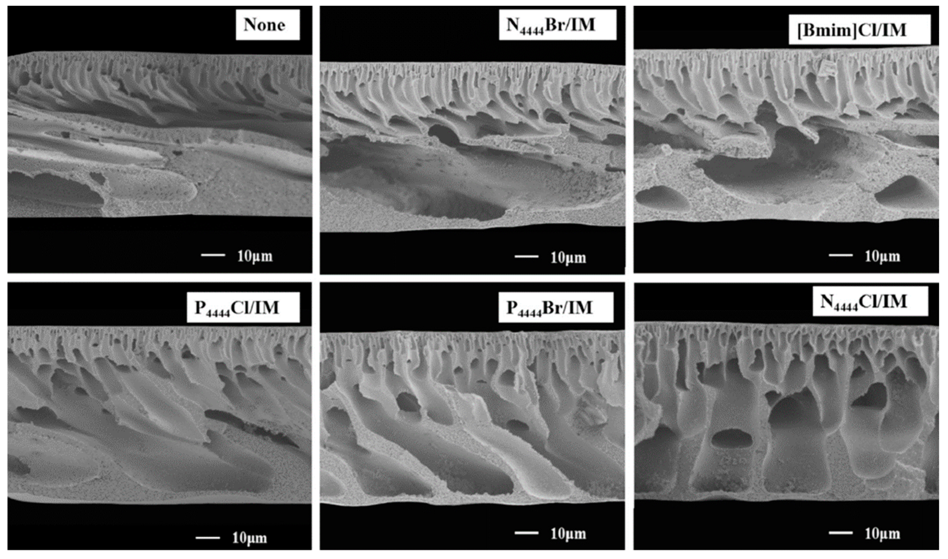 Polymers 16 02604 g011