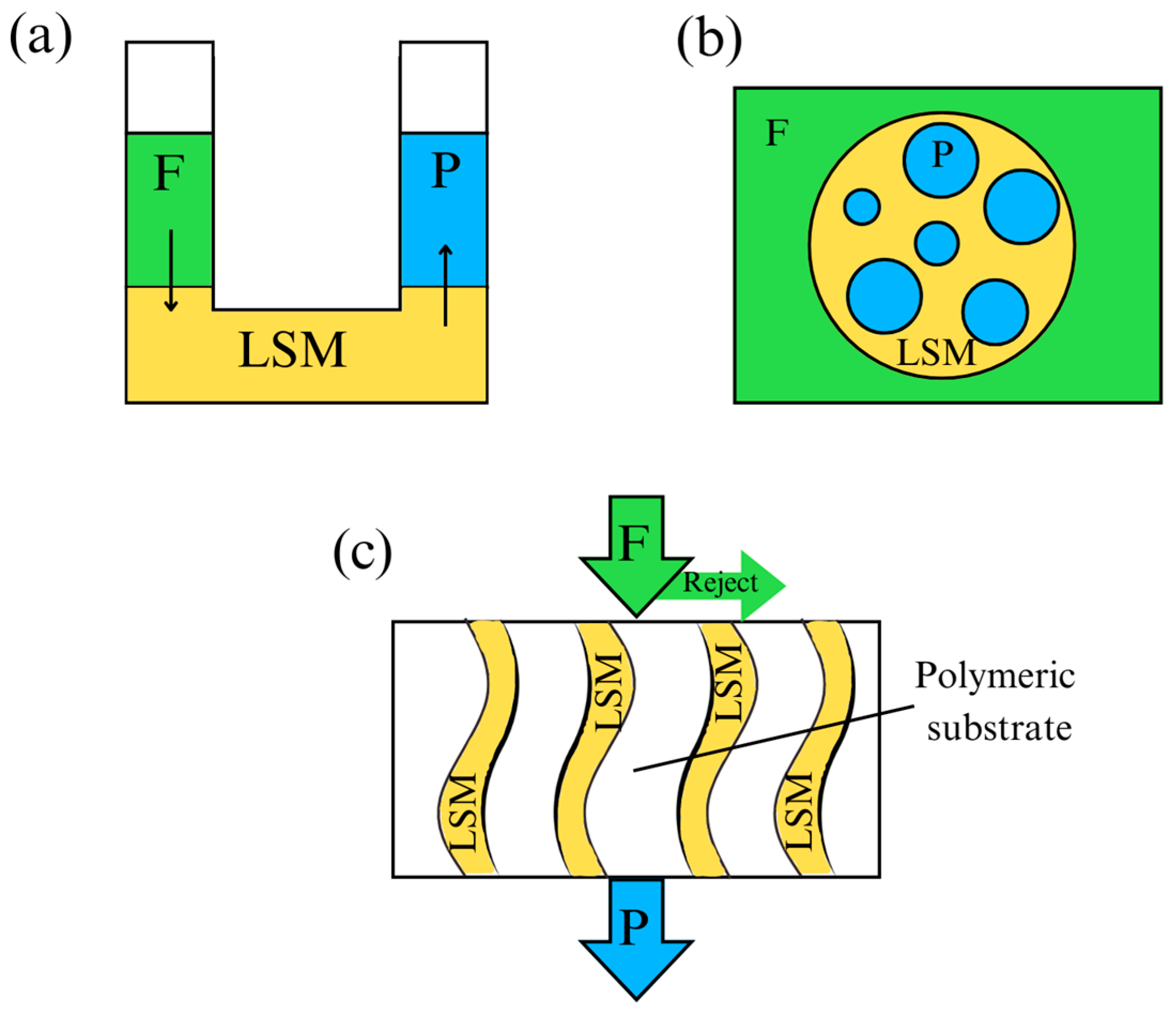 Polymers 16 02604 g014