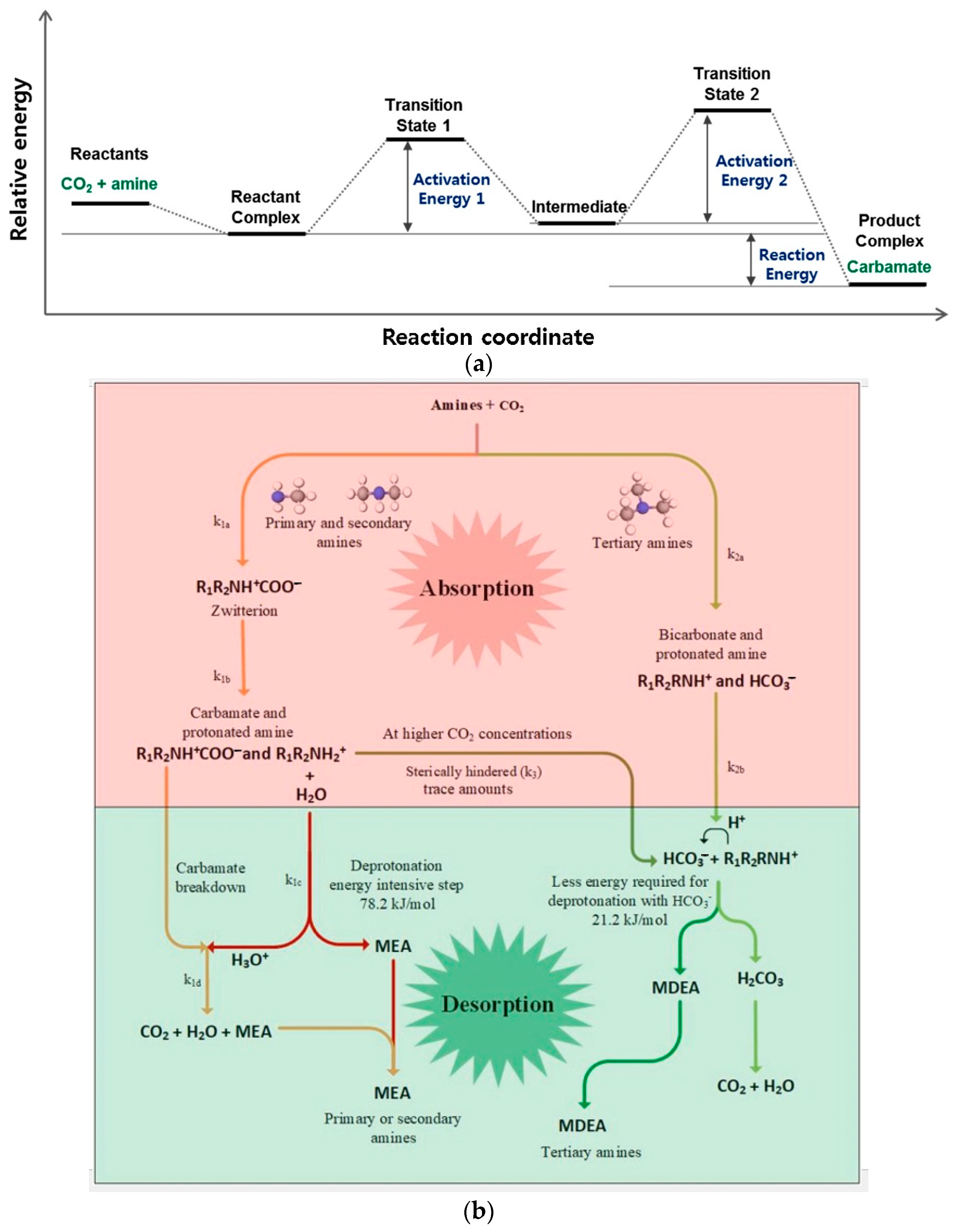 Polymers 16 02604 g016