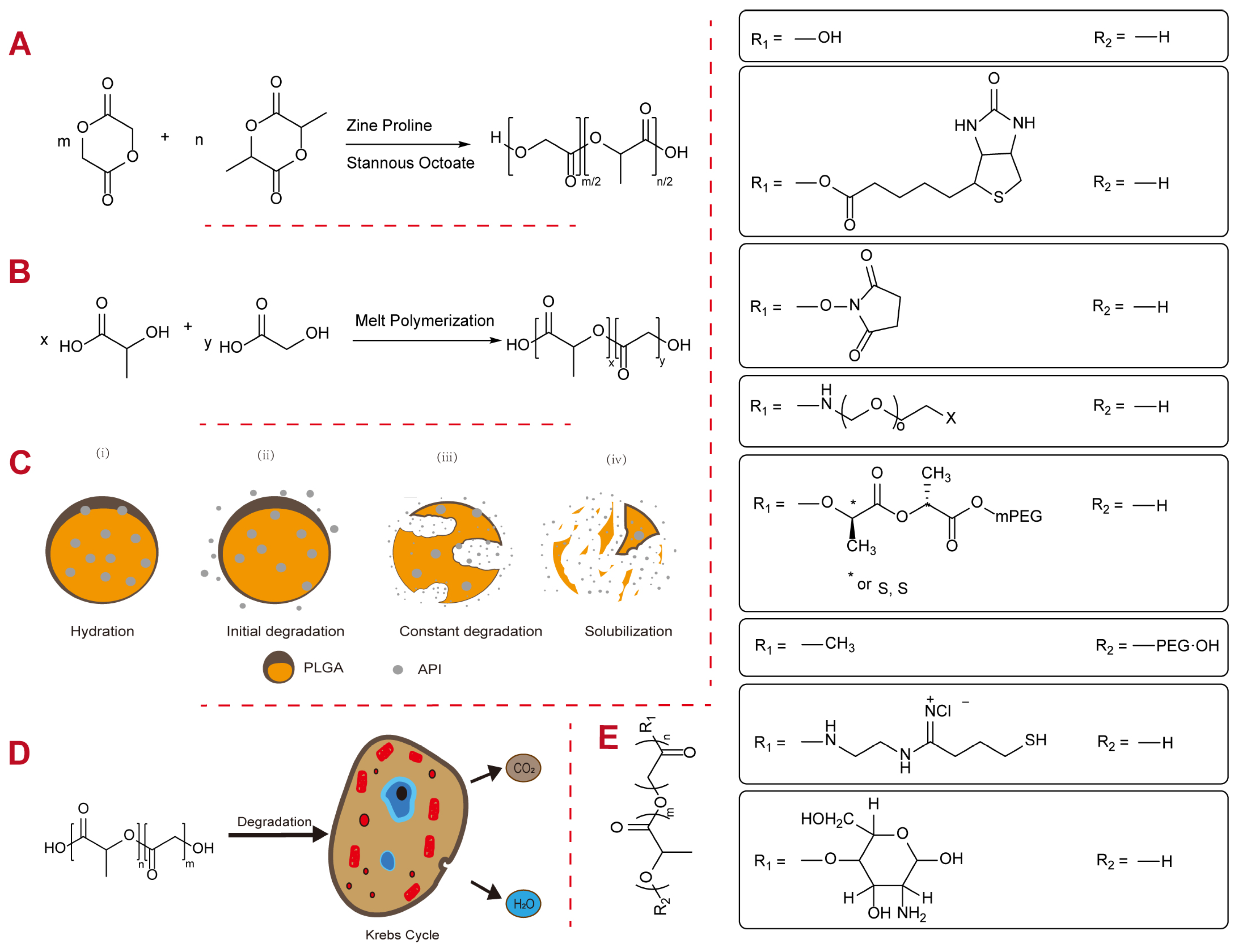 Polymers 16 02606 g001