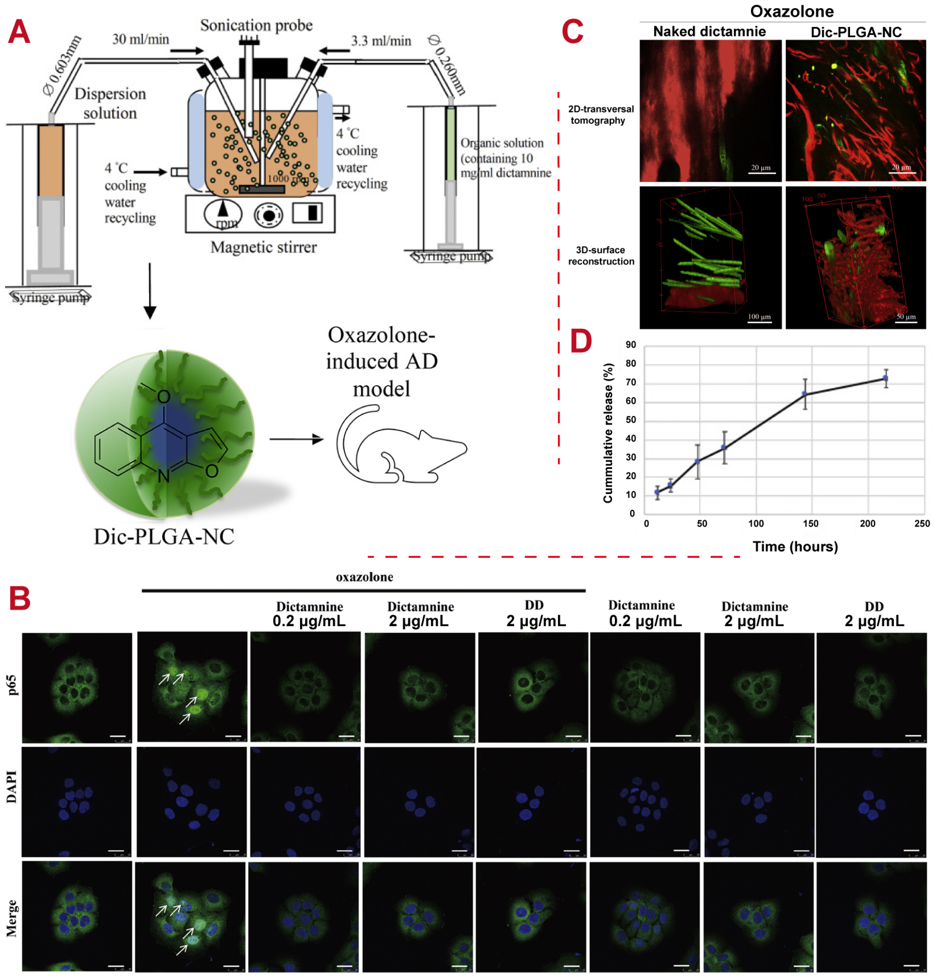 Polymers 16 02606 g007