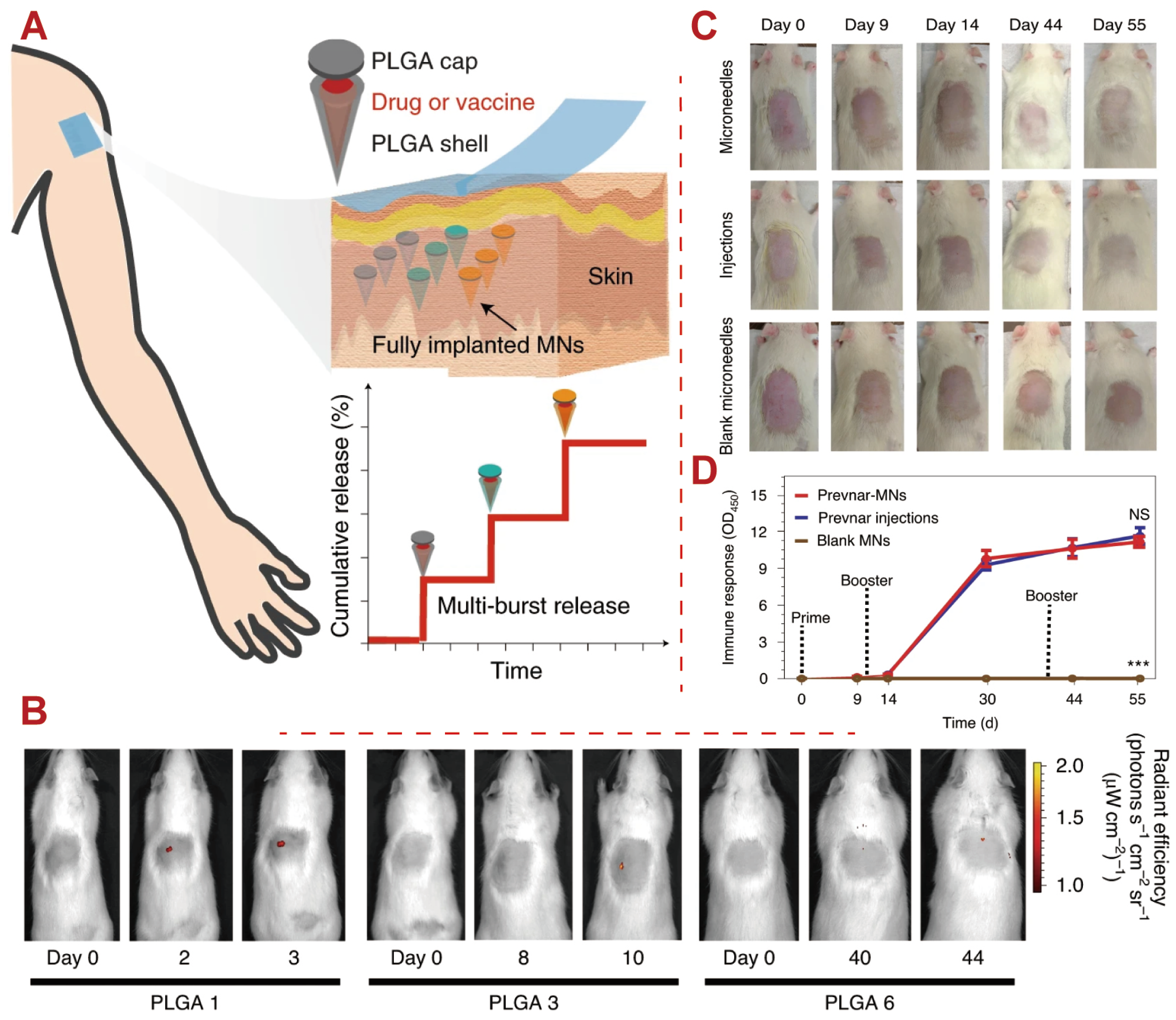 Polymers 16 02606 g008