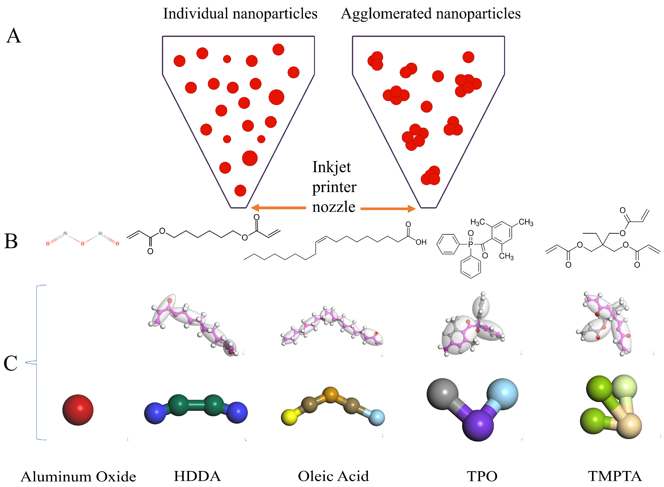 Polymers 16 02609 g001