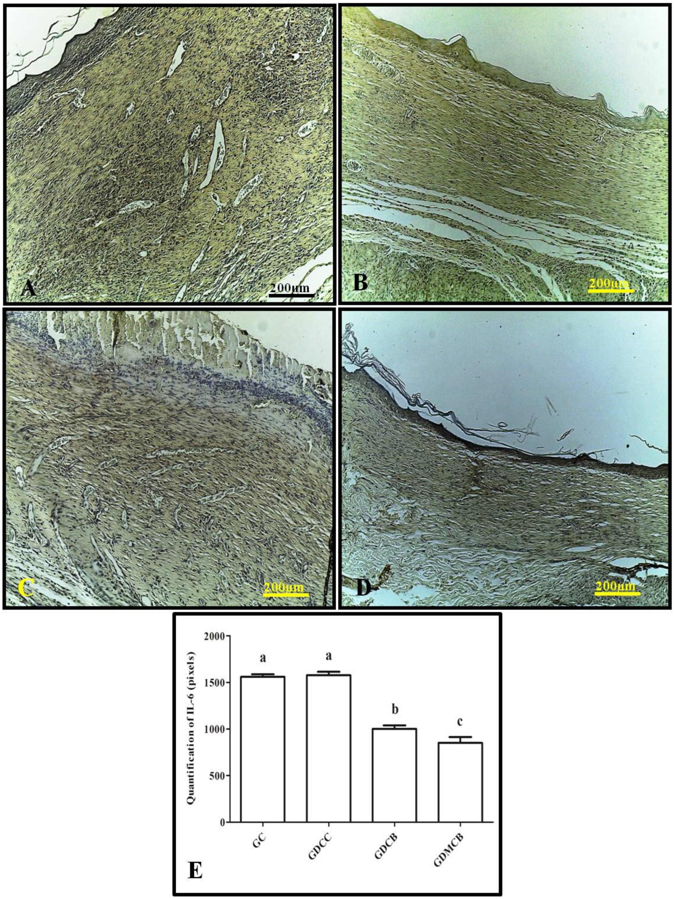 Polymers 16 02611 g001 Polymers 16 02611 g001