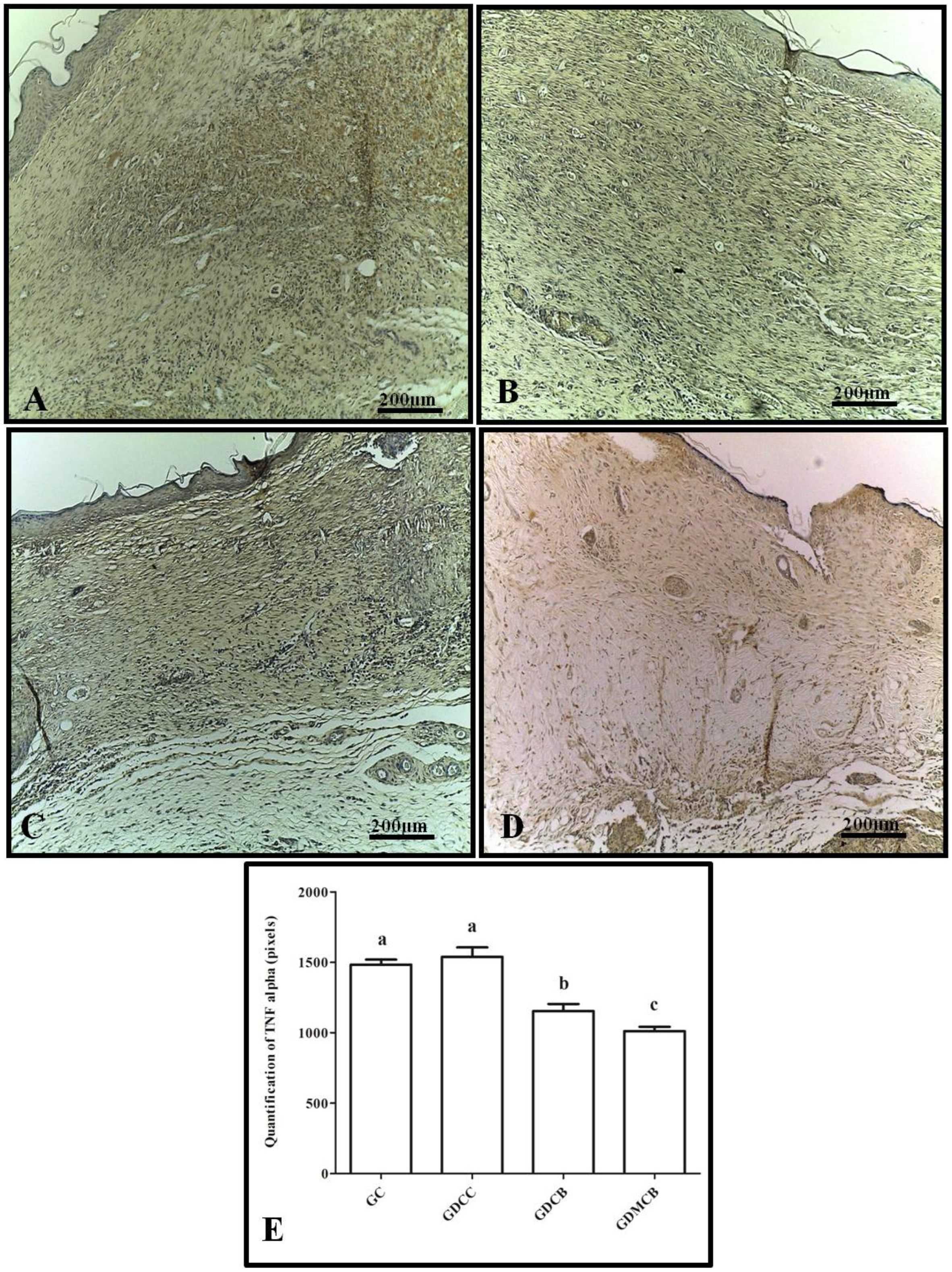 Polymers 16 02611 g002 Polymers 16 02611 g002