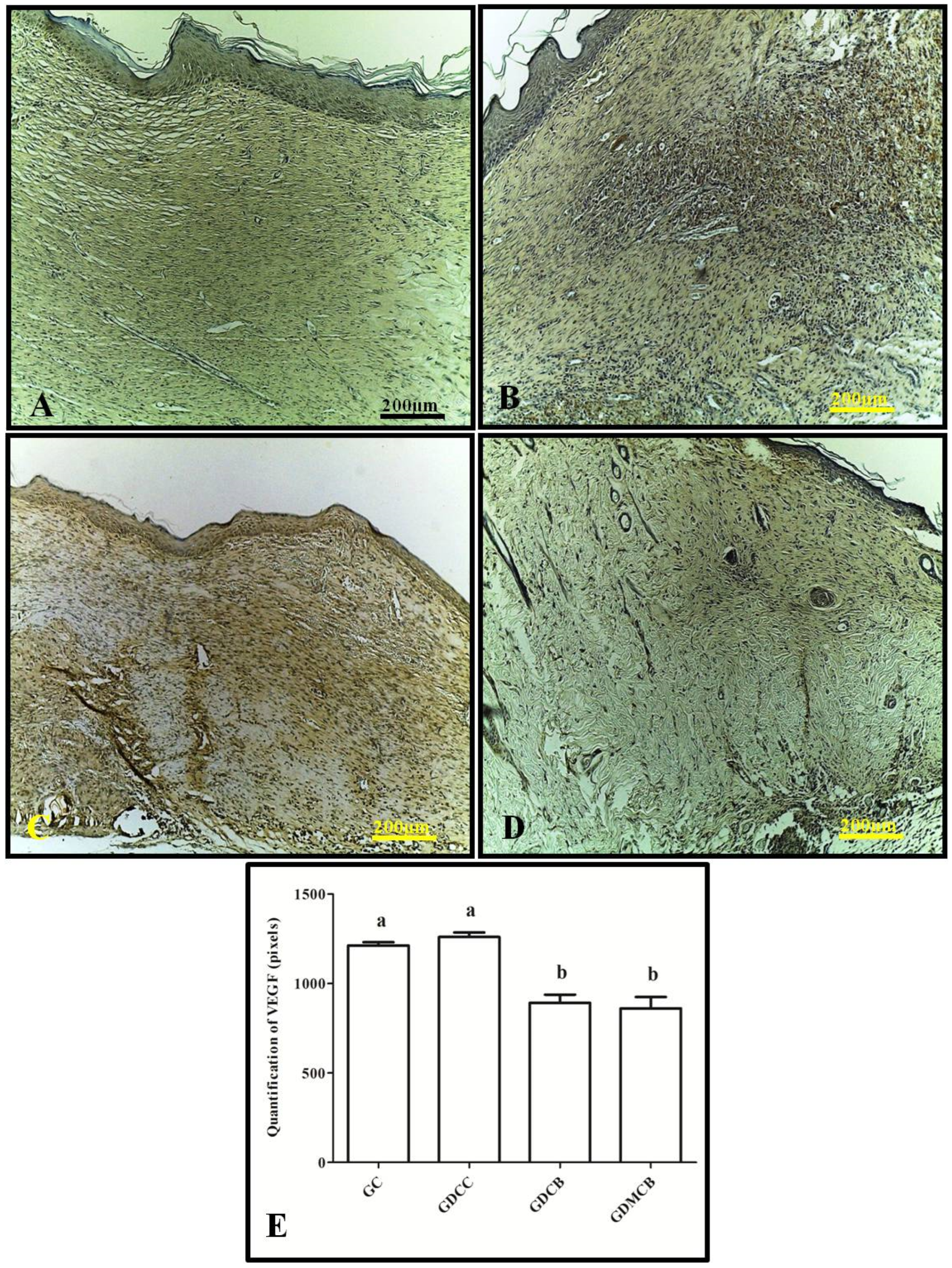 Polymers 16 02611 g003 Polymers 16 02611 g003