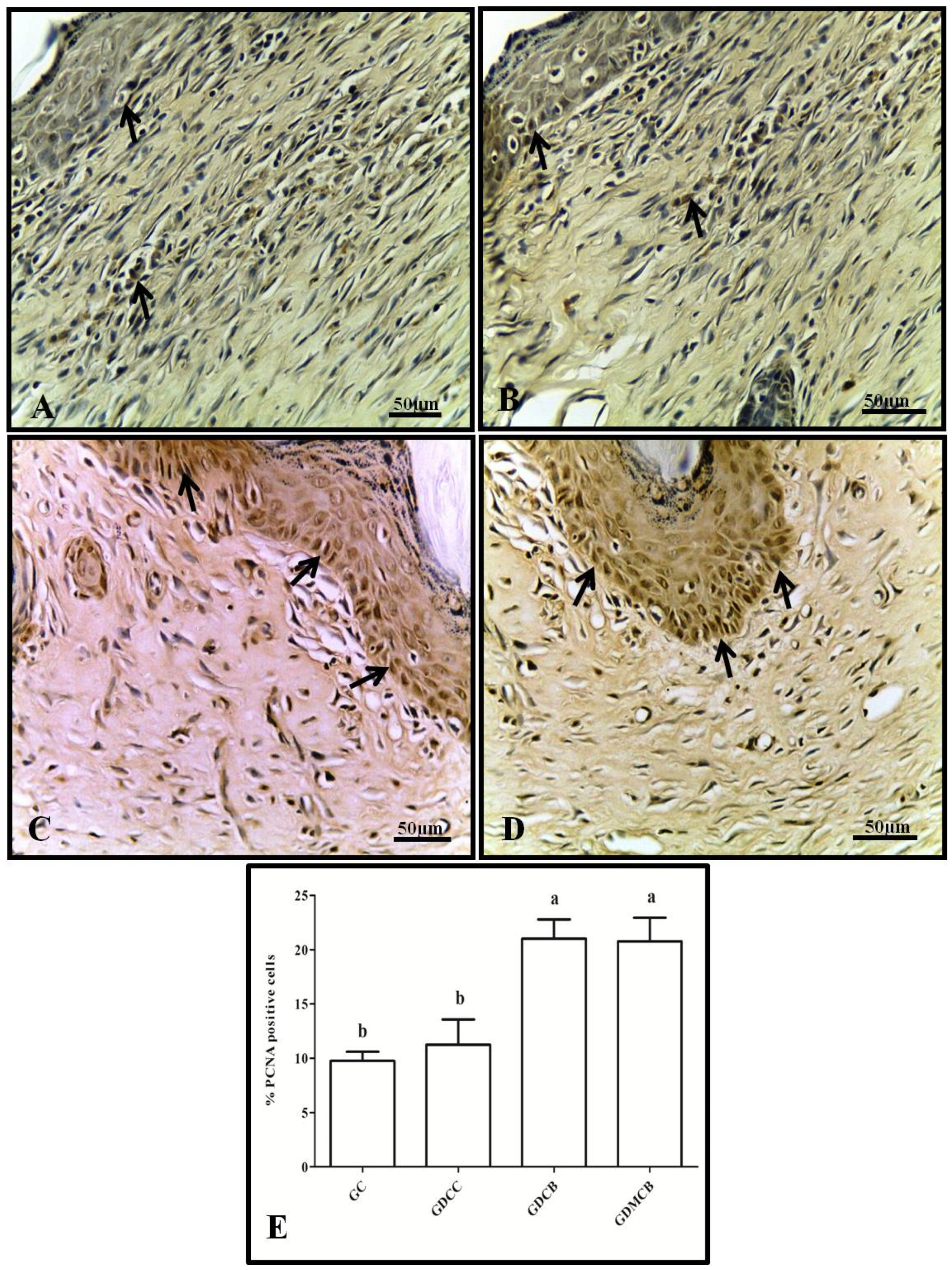Polymers 16 02611 g004 Polymers 16 02611 g004