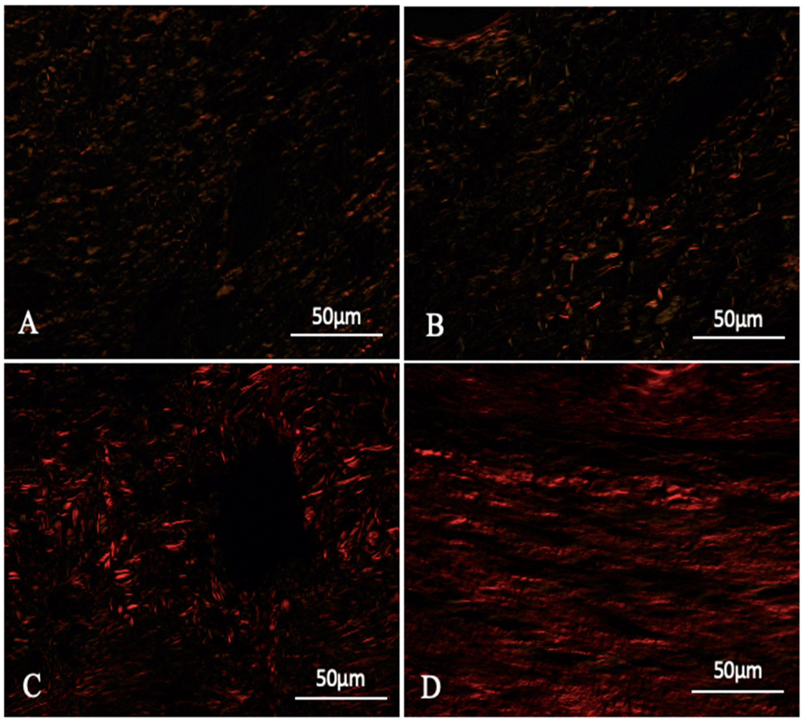 Polymers 16 02611 g006 Polymers 16 02611 g006