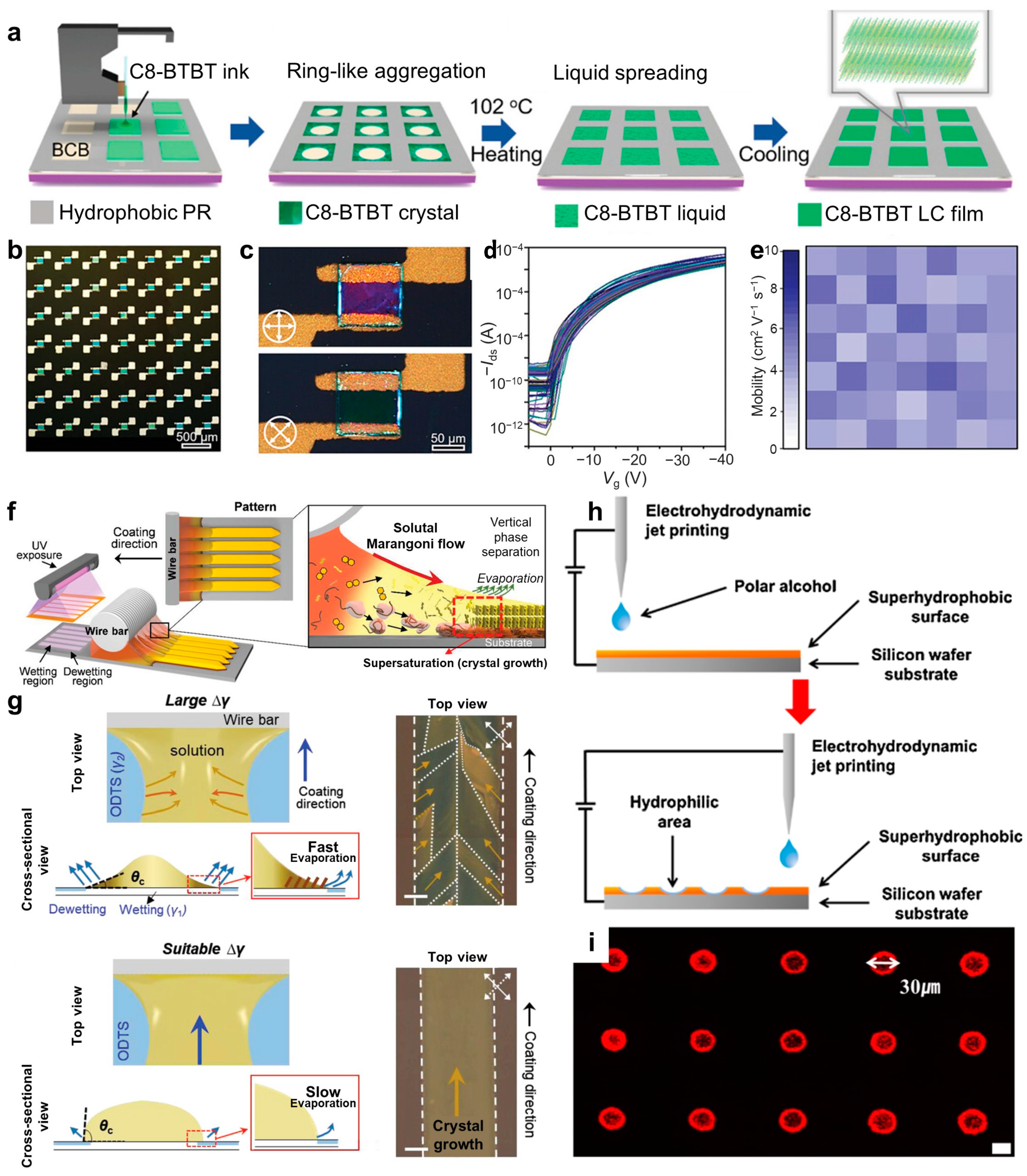 Polymers 16 02613 g003