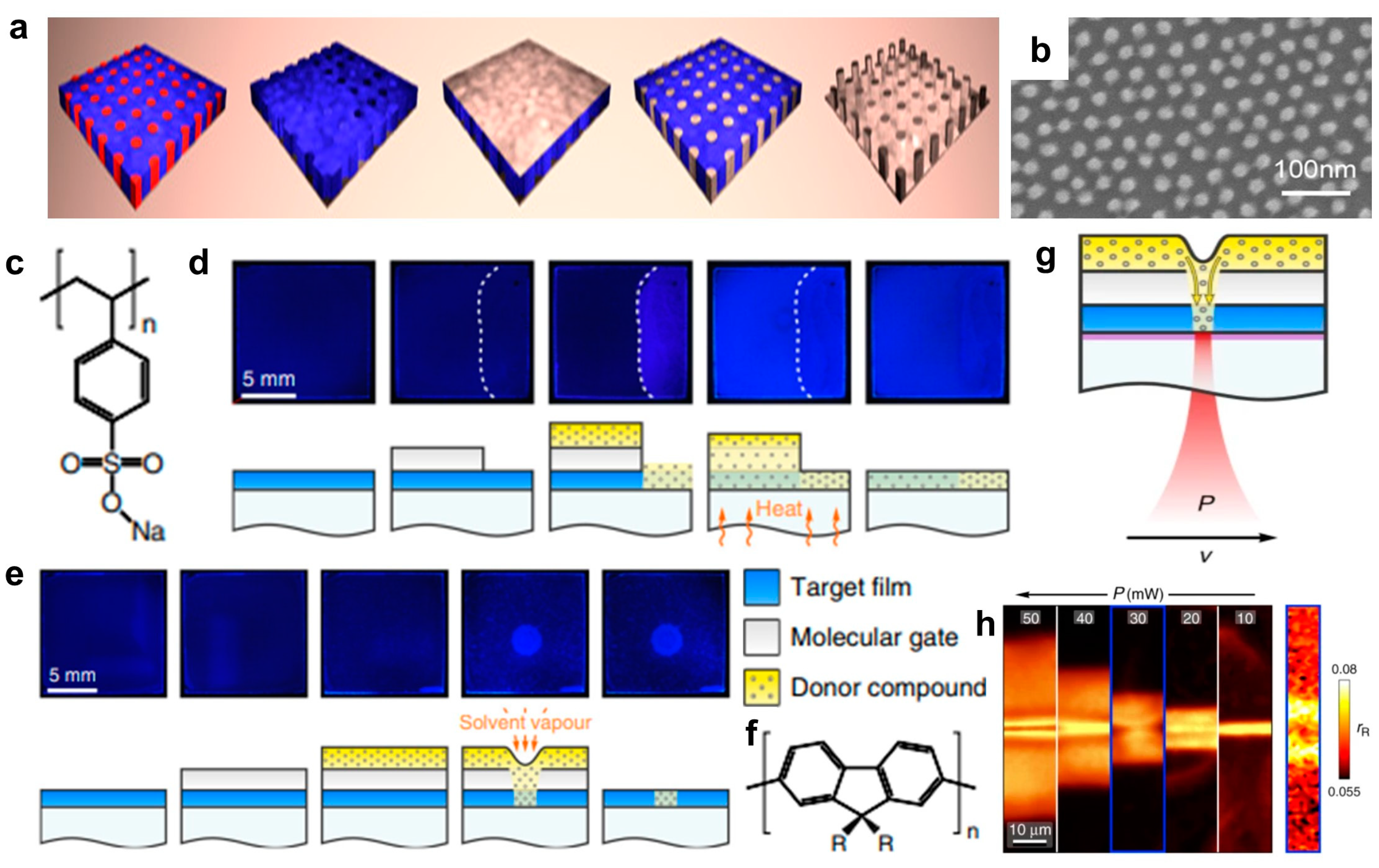 Polymers 16 02613 g005